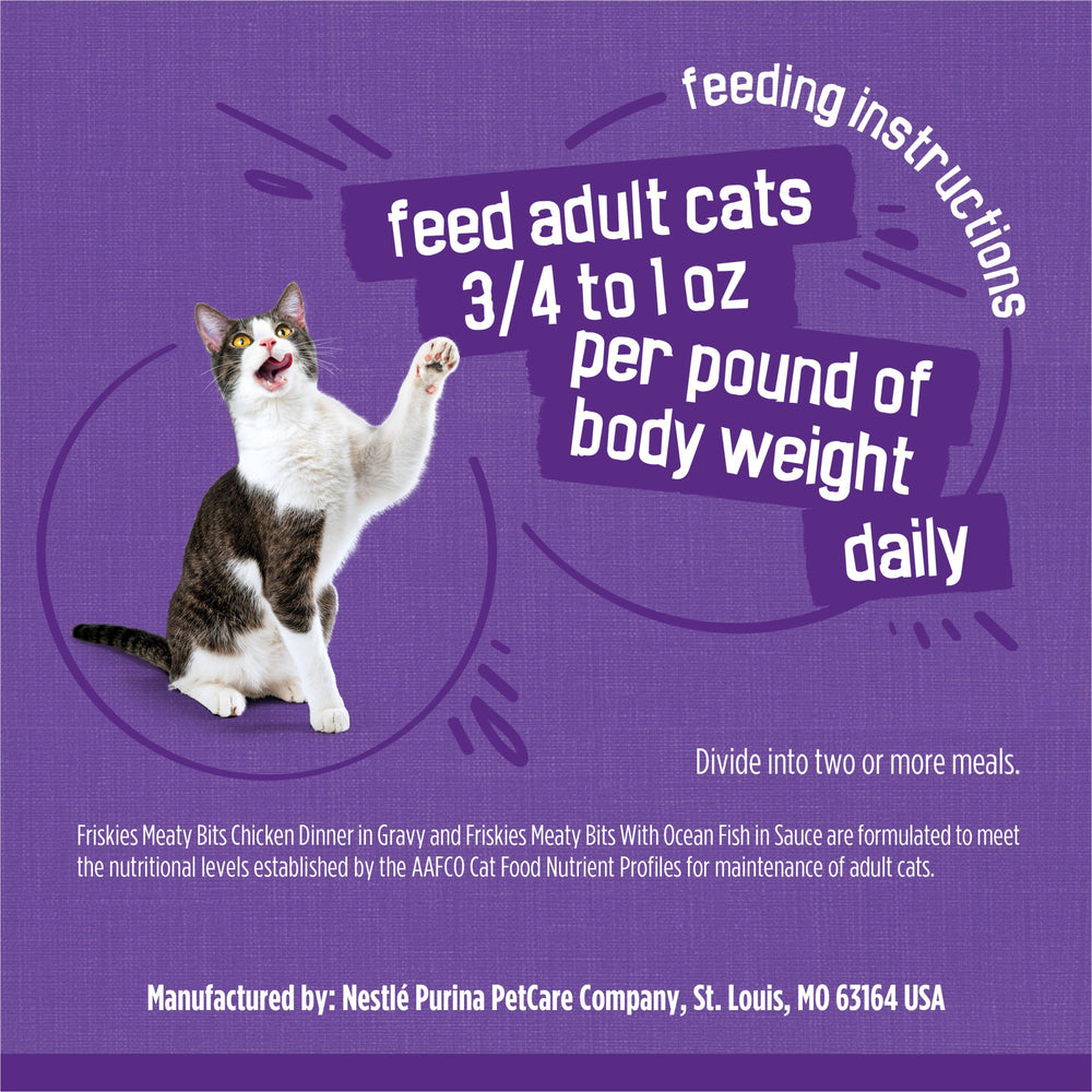 Friskies Meaty Bits gravy close-up highlights rich sauce and flavor appeal.
