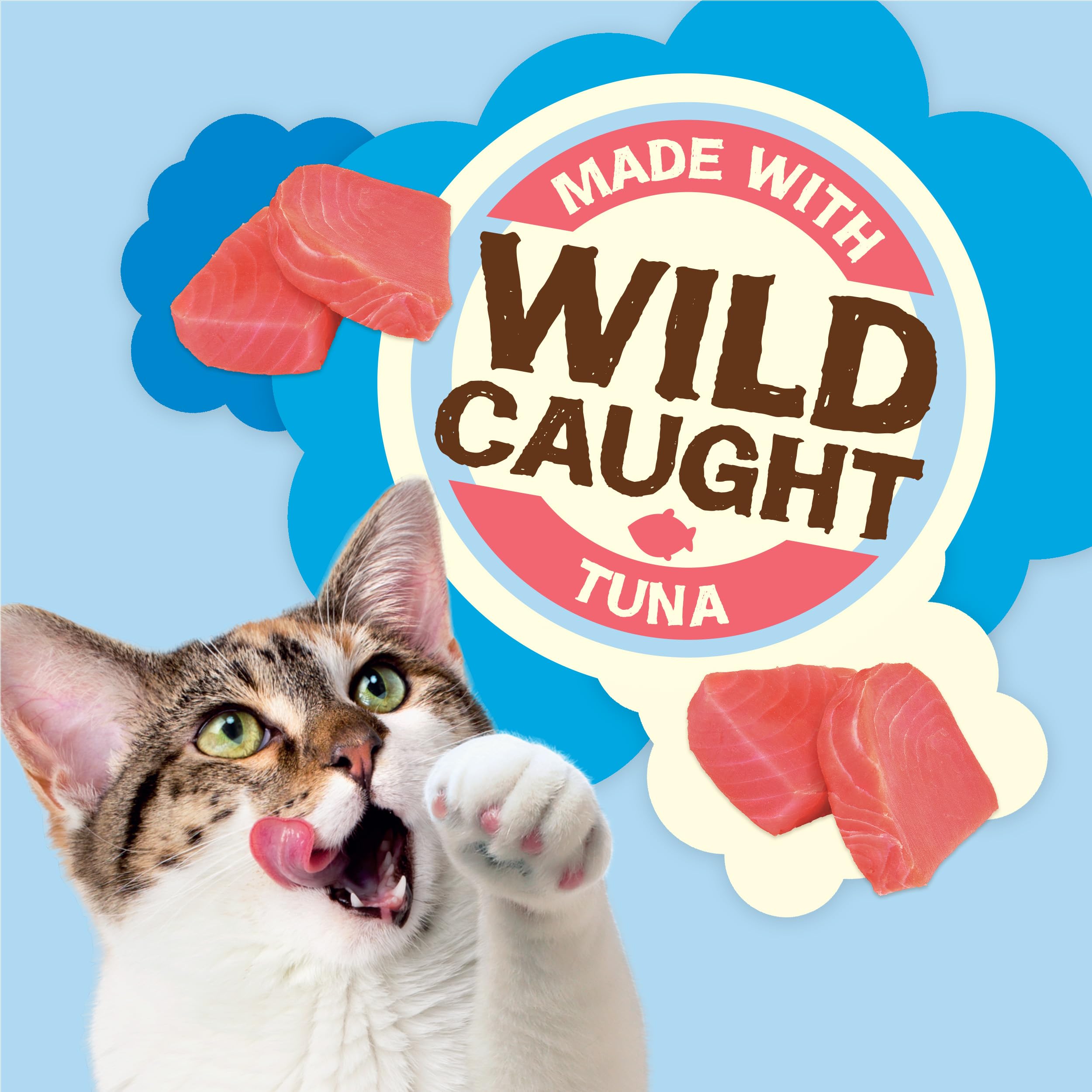 Friskies Natural Yums Wild Tuna pouch—no artificial colors or preservatives for wholesome snacking