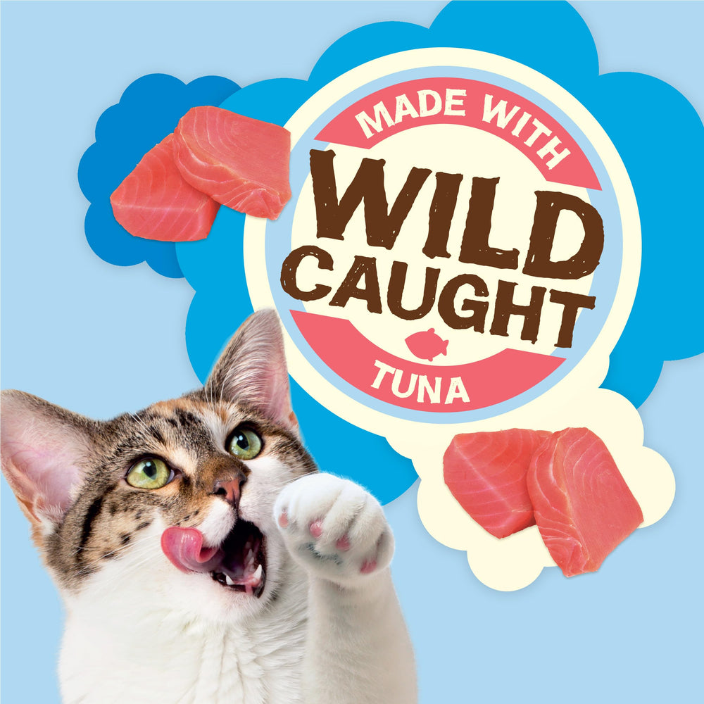 Friskies Natural Yums Wild Tuna pouch—no artificial colors or preservatives for wholesome snacking