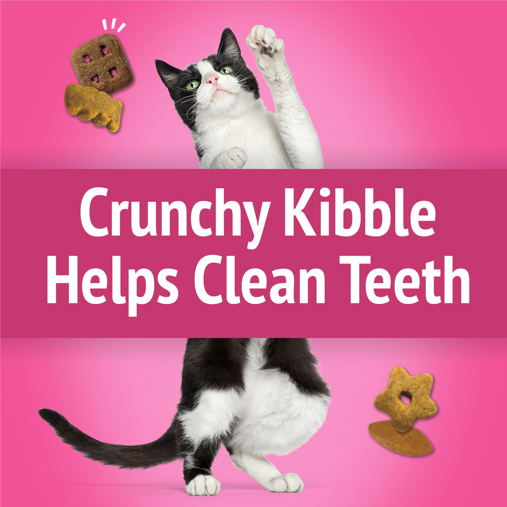 Friskies Party Mix California Crunch crunchy texture shown in treats