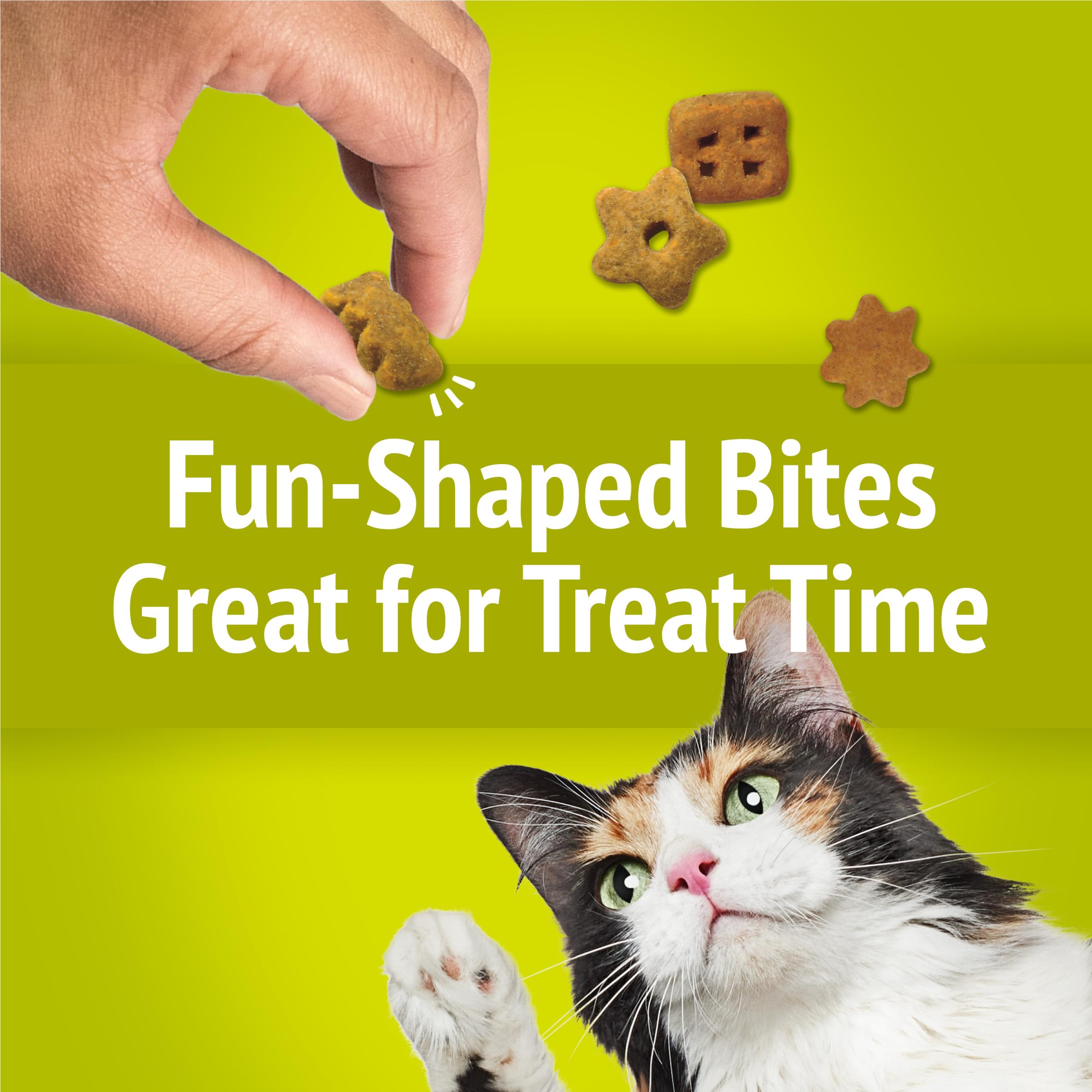 Friskies Morning Munch serving suggestion supports snack time.