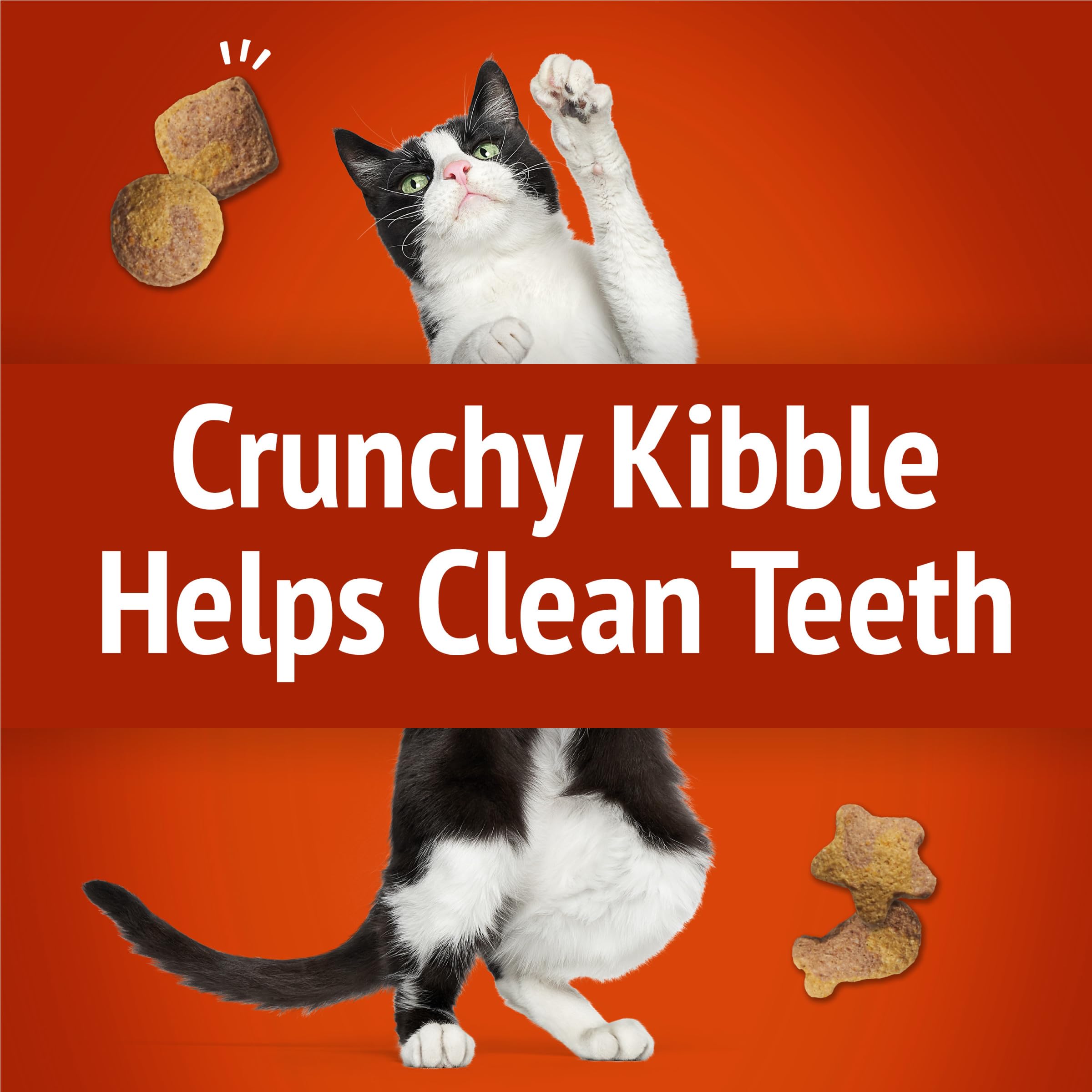 Friskies Party Mix Gravy-licious six-pack pouches for convenient snacking.