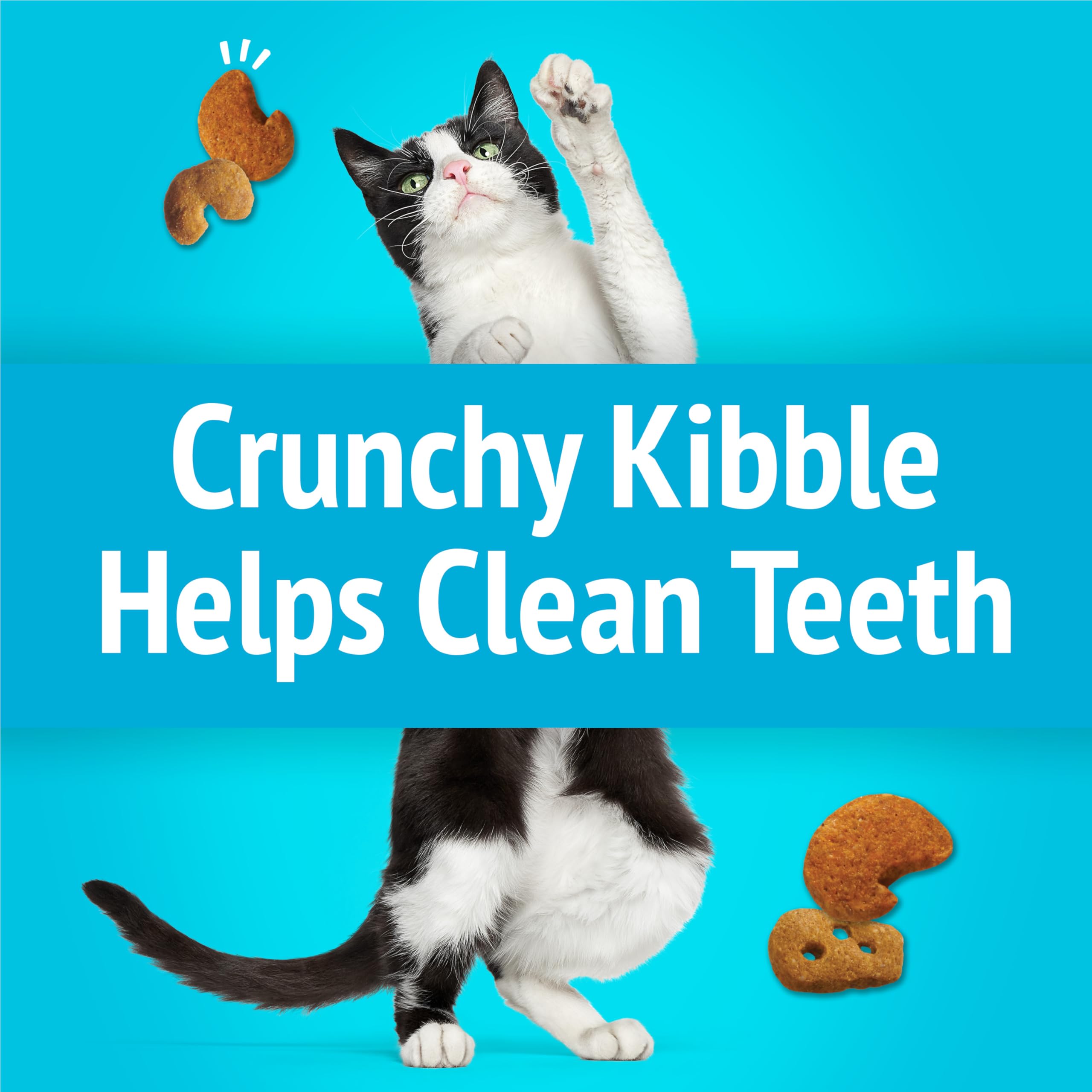 Friskies Party Mix Lobster Mac N Cheese 2-1oz pouches keep treats fresh for quick rewards.