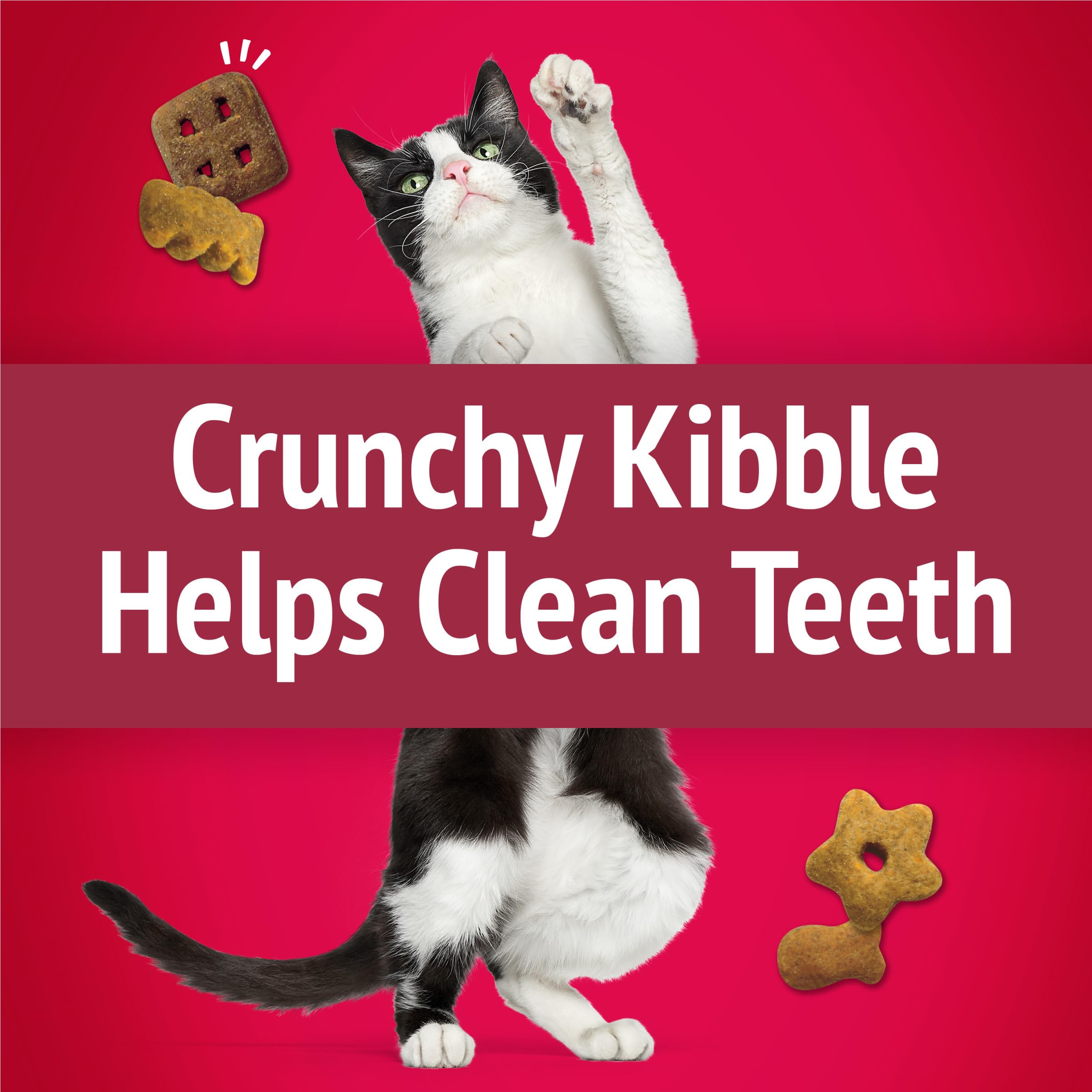 Friskies Party Mix Crunch highlights real chicken as the first ingredient.