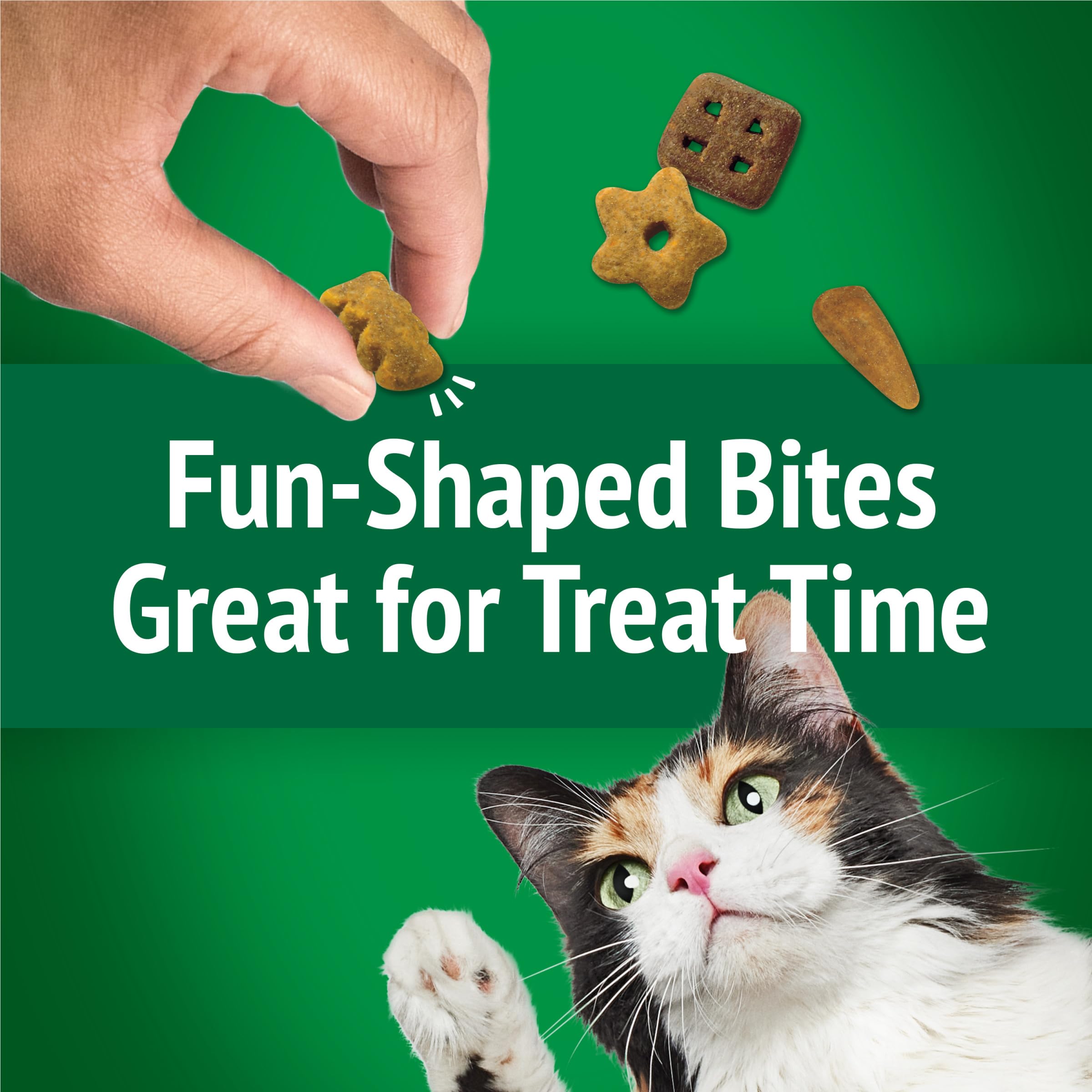 Snack-time moment with Friskies Party Mix Picnic Crunch in a resealable pouch