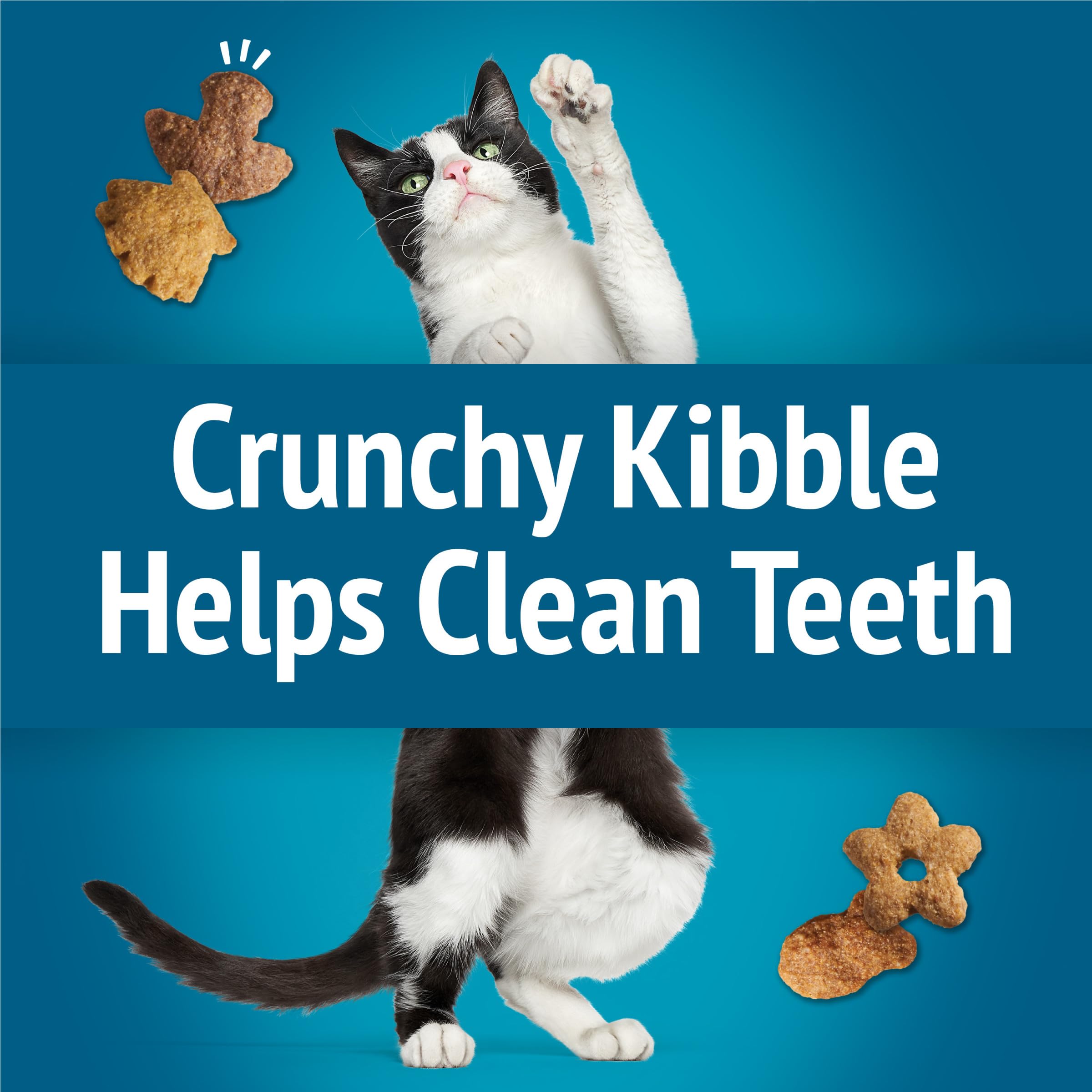 Friskies Party Mix action shot of a cat enjoying a treat
