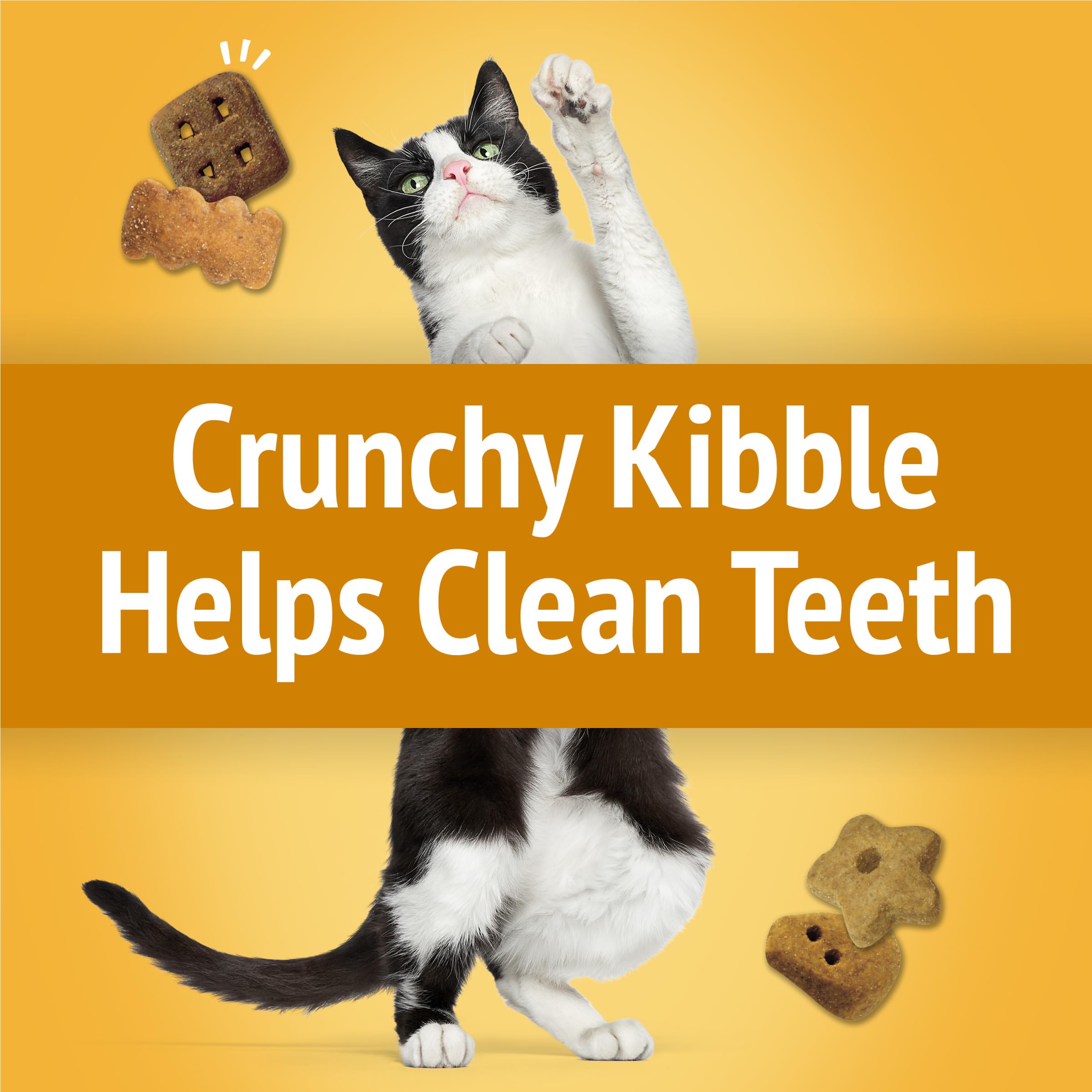 Treat-time shapes from Friskies Party Mix encourage play and engagement