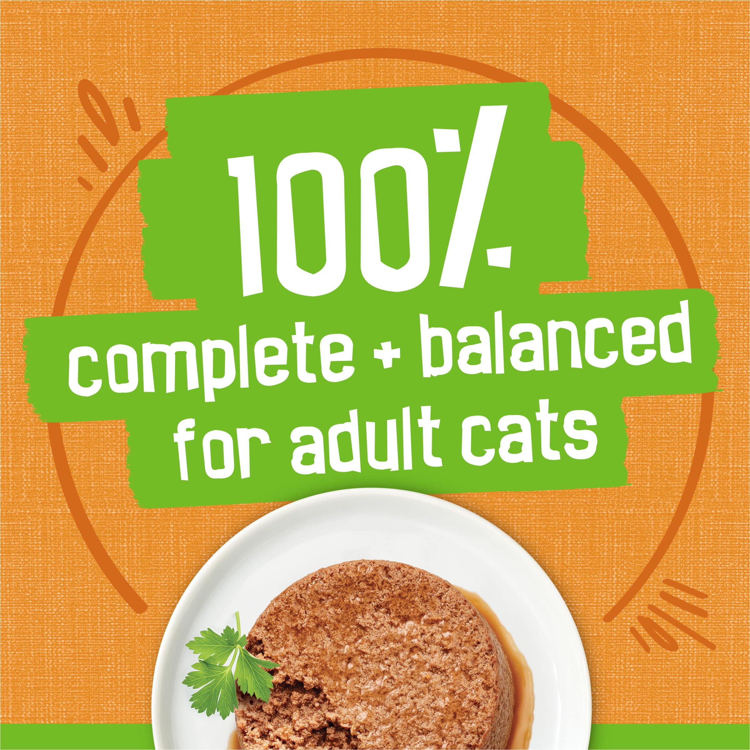 Cat enjoys Friskies pate at mealtime, appetizing aroma.