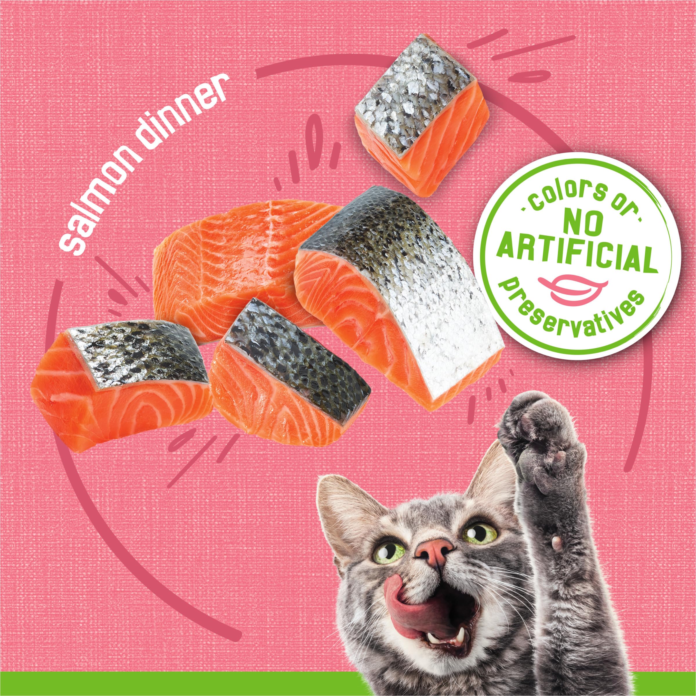 Purina Friskies Pate Salmon Dinner closeup-texture — silky pate texture cats enjoy.