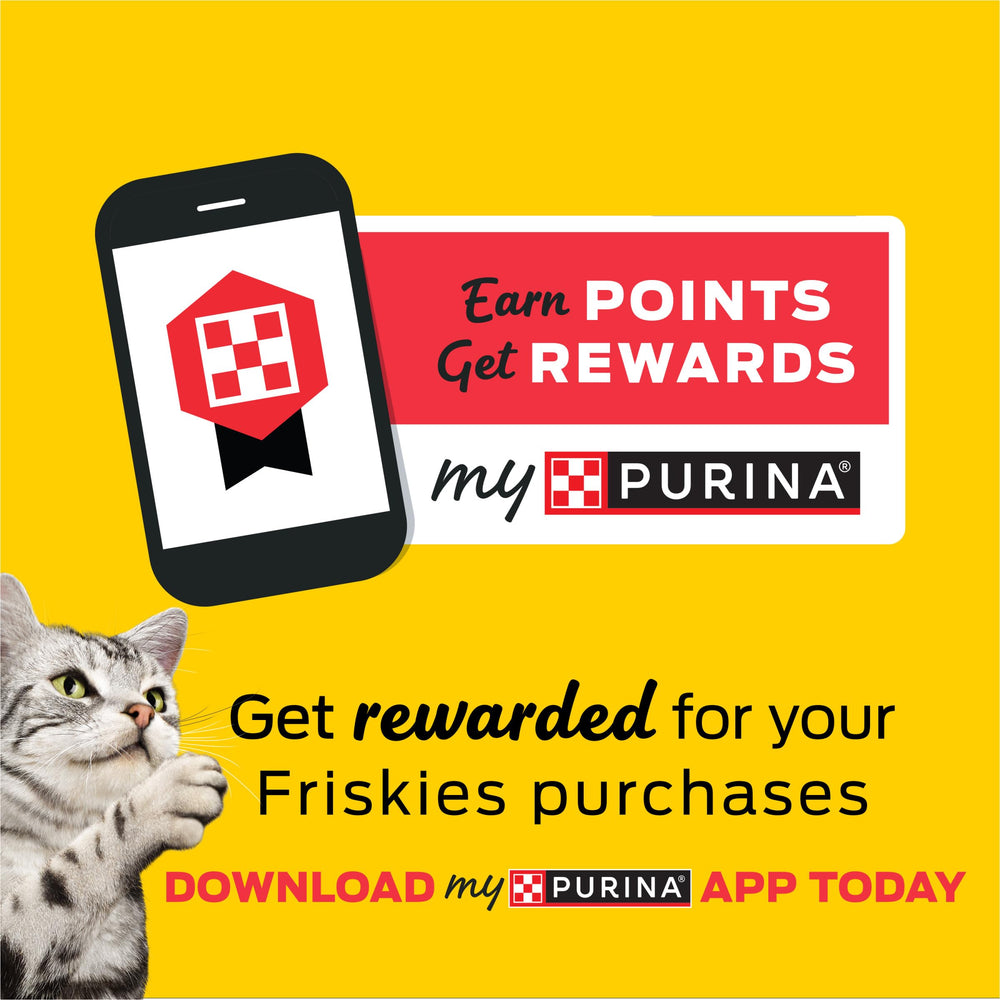 Purina Friskies Pate Salmon Dinner packaging-facade — produced in Purina U.S. facilities.
