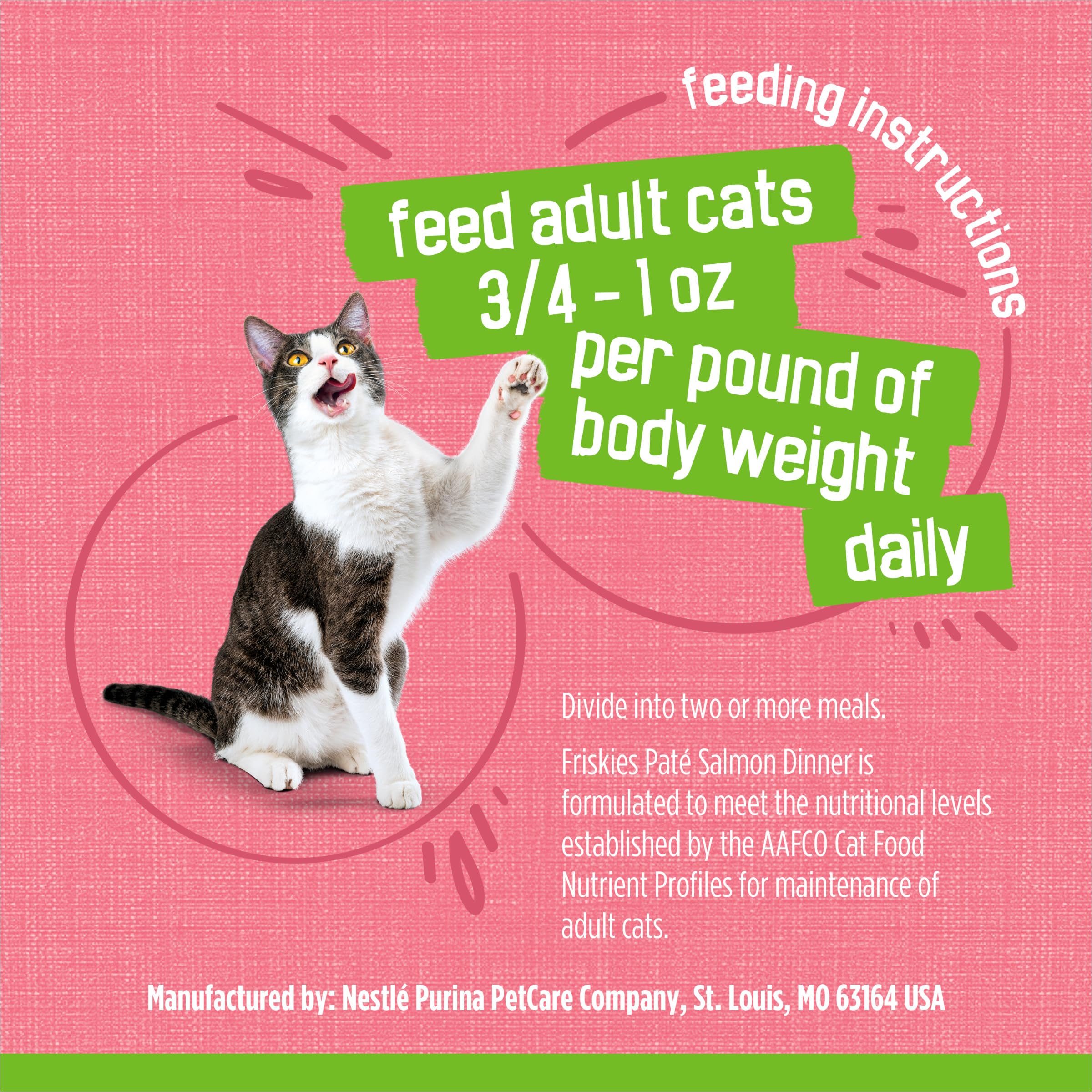 Purina Friskies Pate Salmon Dinner recyclable-can-symbol — eco-friendly packaging option.