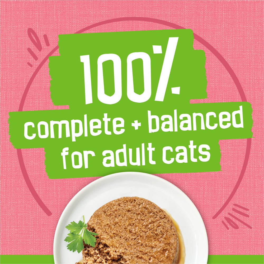 Purina Friskies Pate Salmon Dinner served-in-bowl — appetizing presentation invites eating.