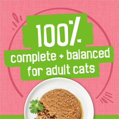 Purina Friskies Pate Salmon Dinner served-in-bowl — appetizing presentation invites eating.
