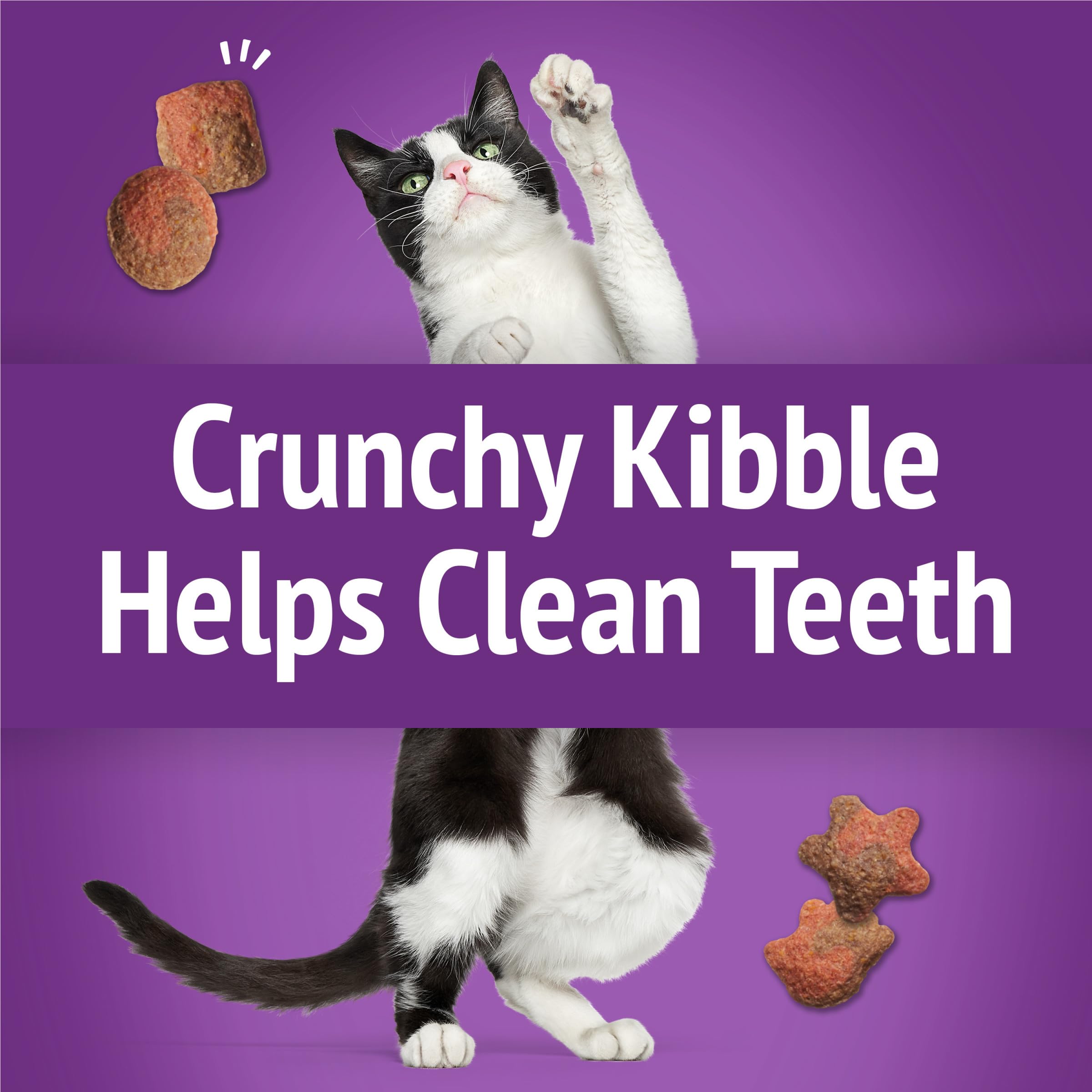 Friskies resealable pouch keeps freshness between rewards.
