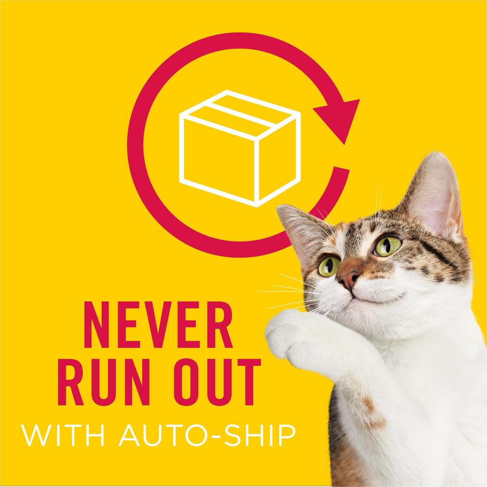 Friskies Premium cat food variety pack showcased for variety and convenient feeding.