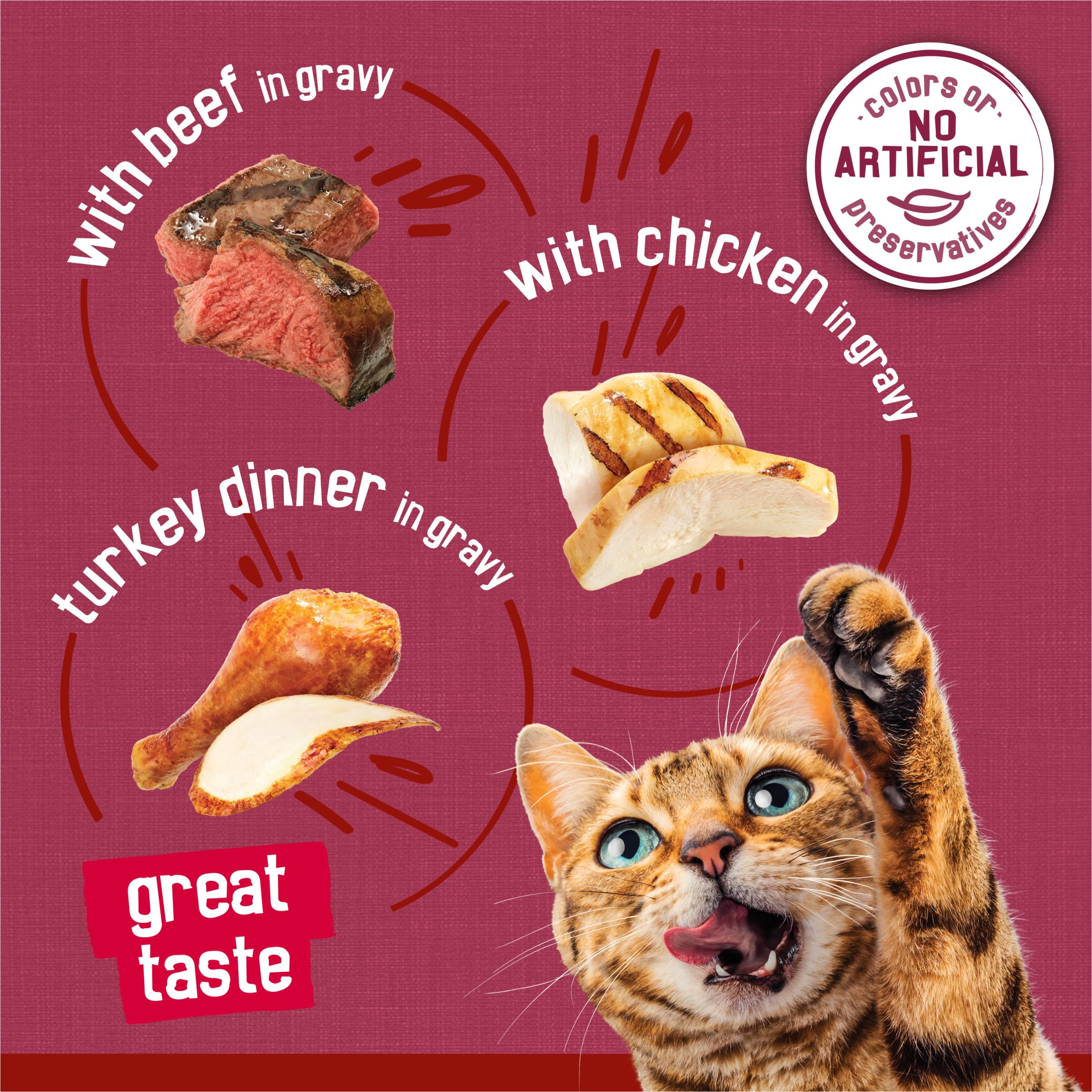 Purina Friskies Prime Filets chicken in gravy bowl shows moist, appetizing texture.