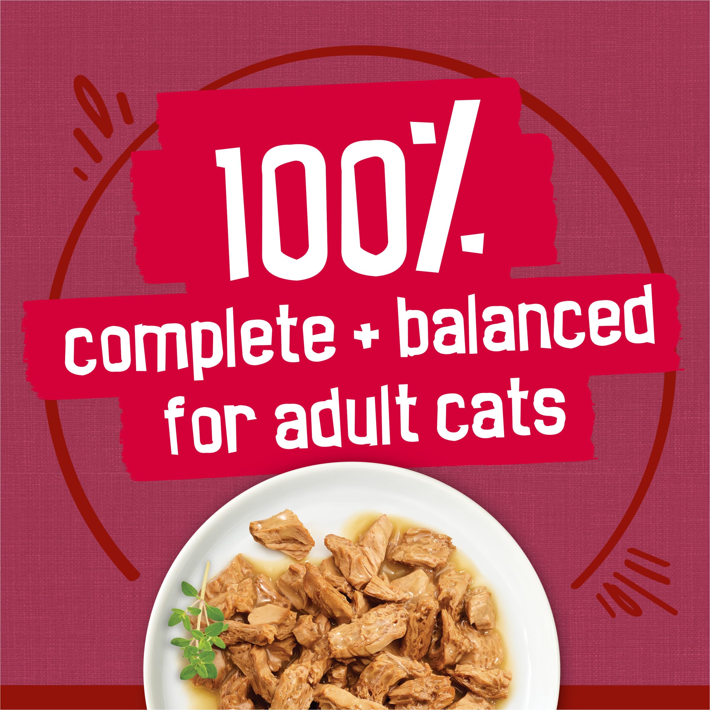 Purina Friskies Prime Filets turkey in gravy bowl adds flavorful variety at meals.