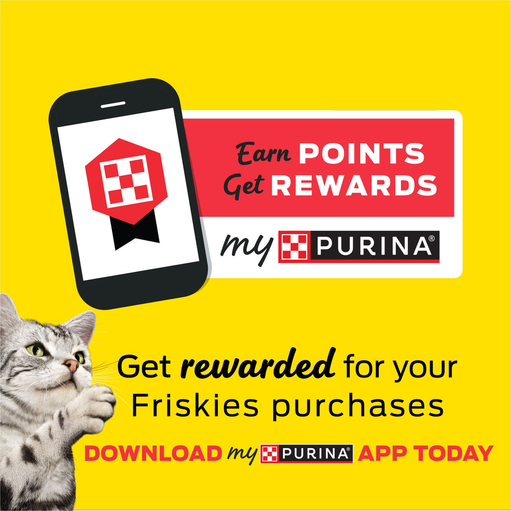 Friskies Prime Filets 24-pack convenience for regular feeding