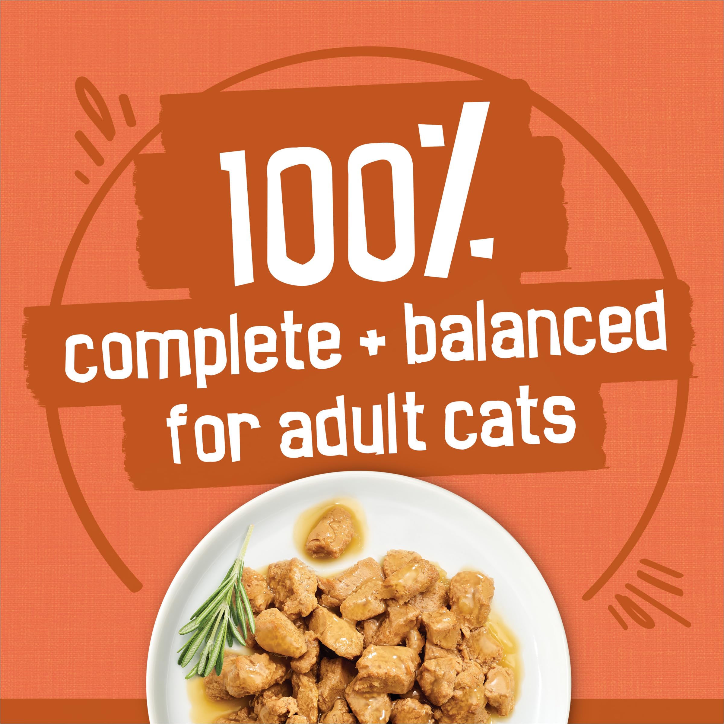 Friskies prime filets turkey dinner in gravy can, tender chunks for meals