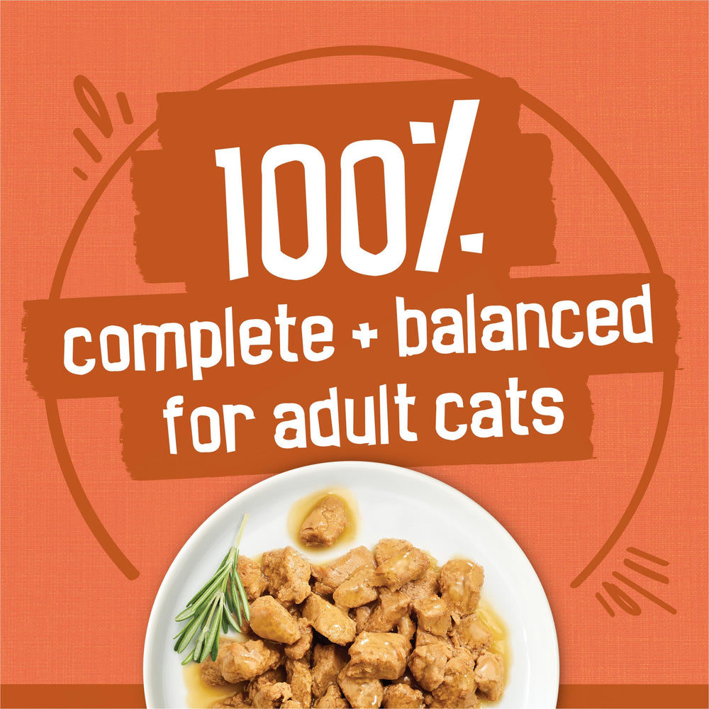 Friskies prime filets turkey dinner in gravy can, tender chunks for meals