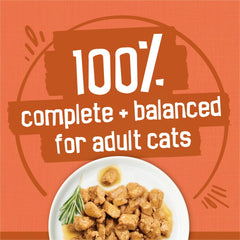 Friskies prime filets turkey dinner in gravy can, tender chunks for meals