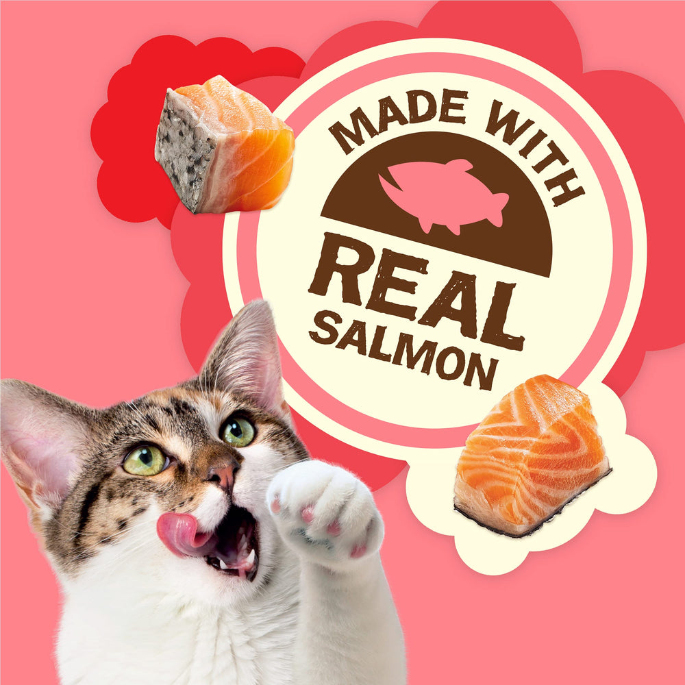 Friskies Real Salmon close-up highlights first-ingredient flavor appeal.