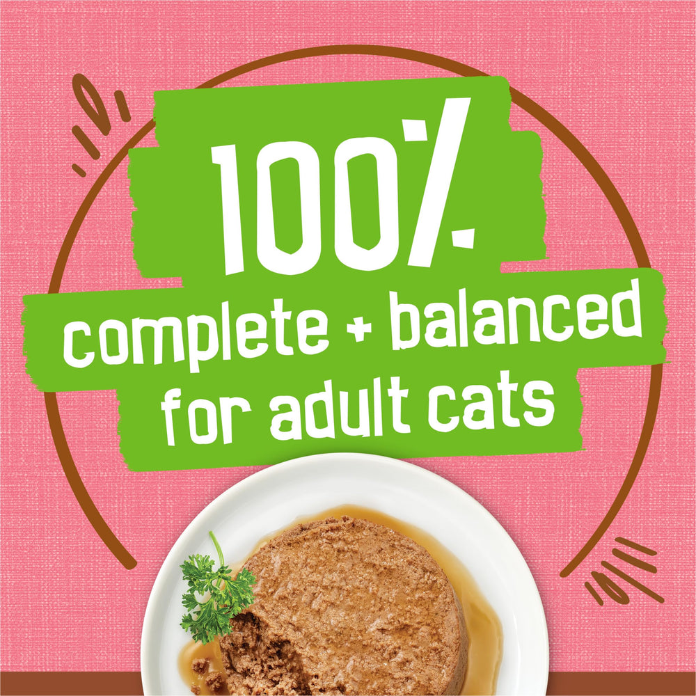 Real salmon pieces visible in Friskies pate delivering seafood flavor.