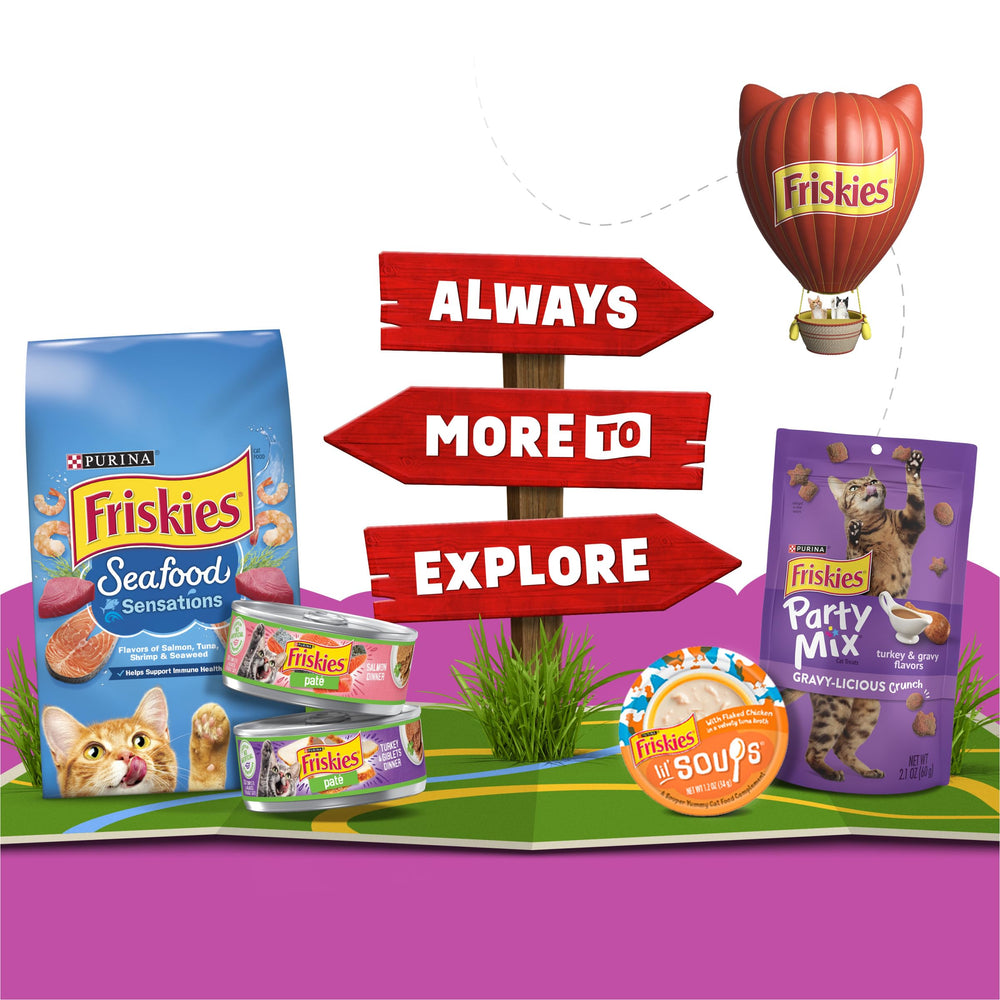 Friskies variety-pack box highlights assorted flavors for daily meals