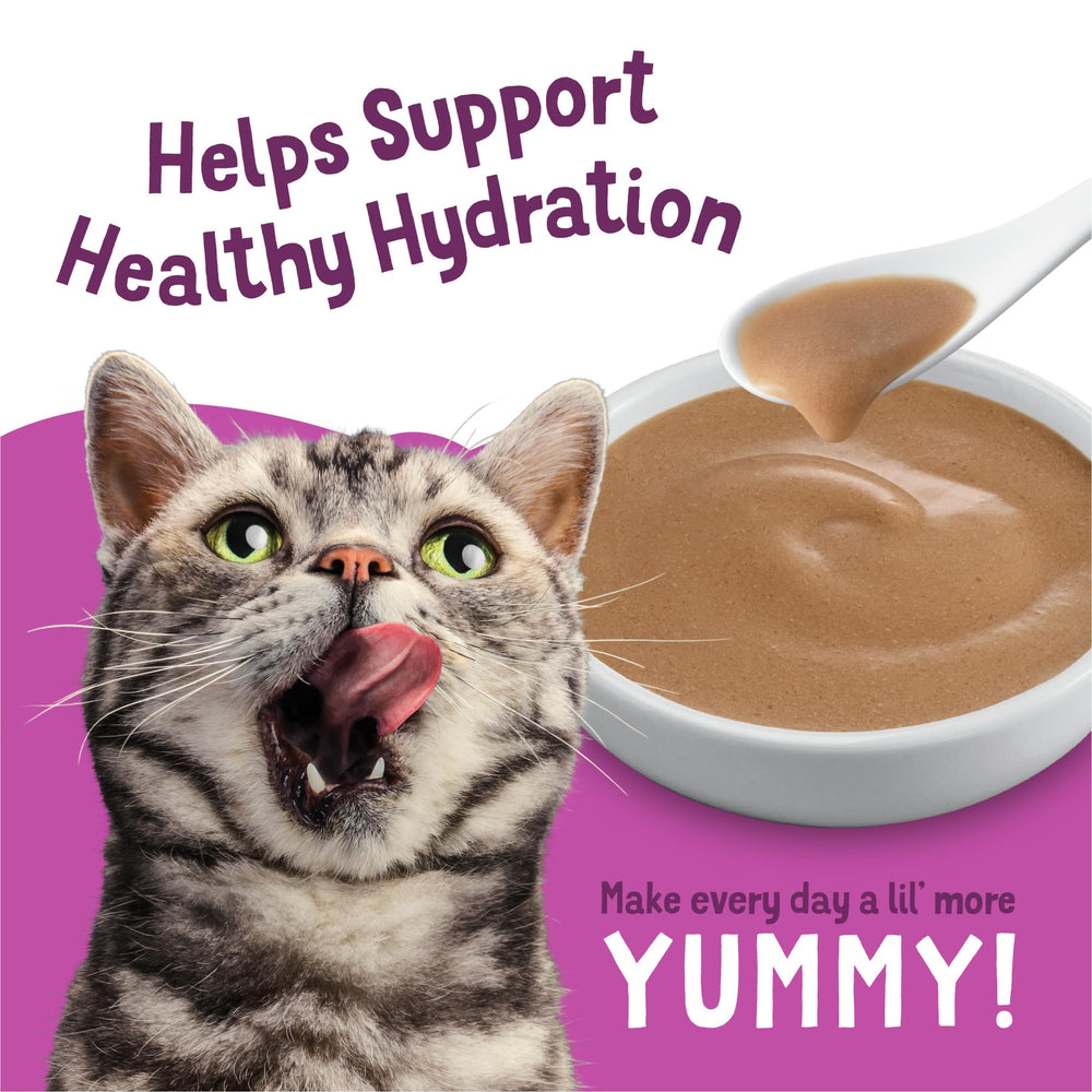 Friskies gravy topper pouch ready-to-pour for quick serving