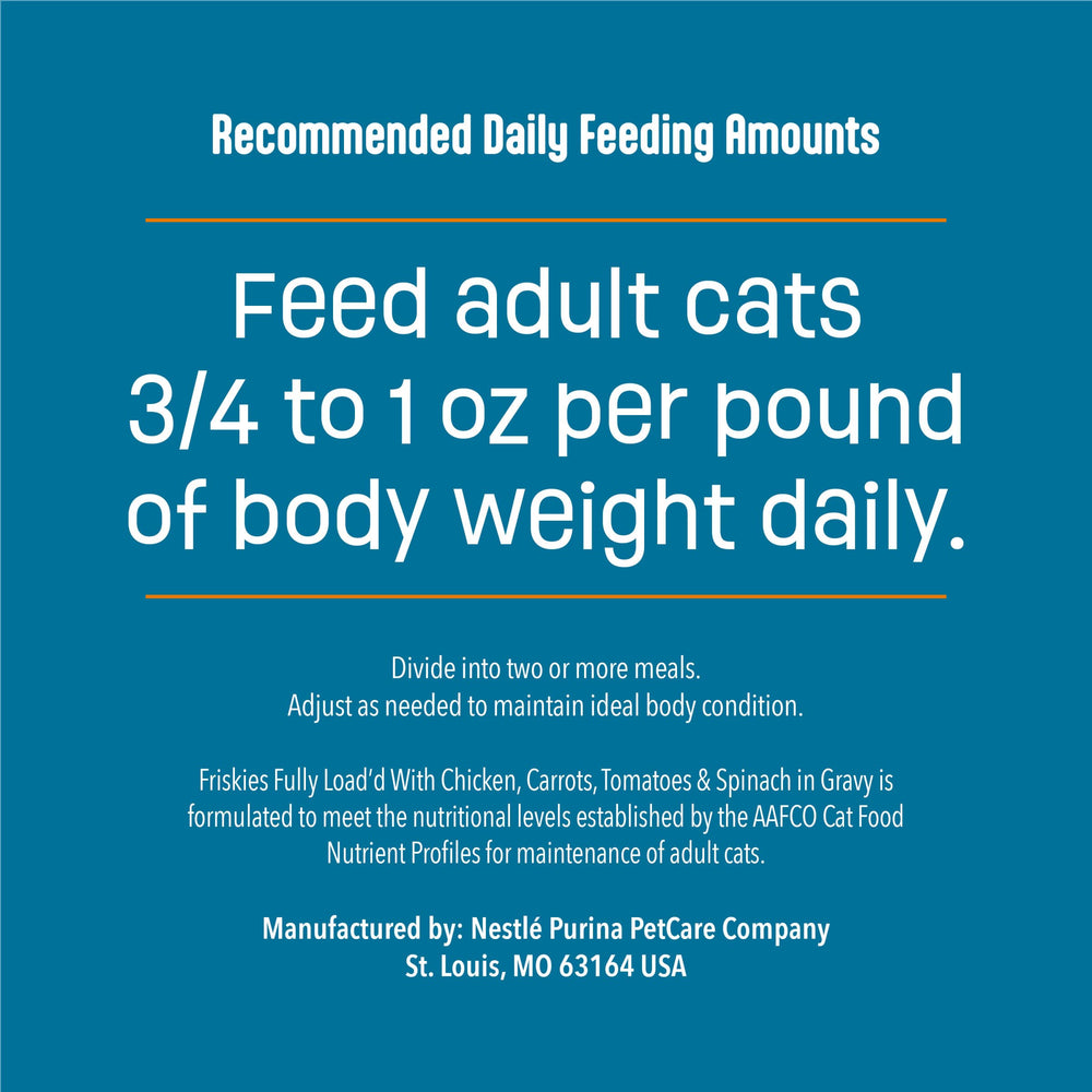 Friskies serving bowl ready with wet food for a meal.