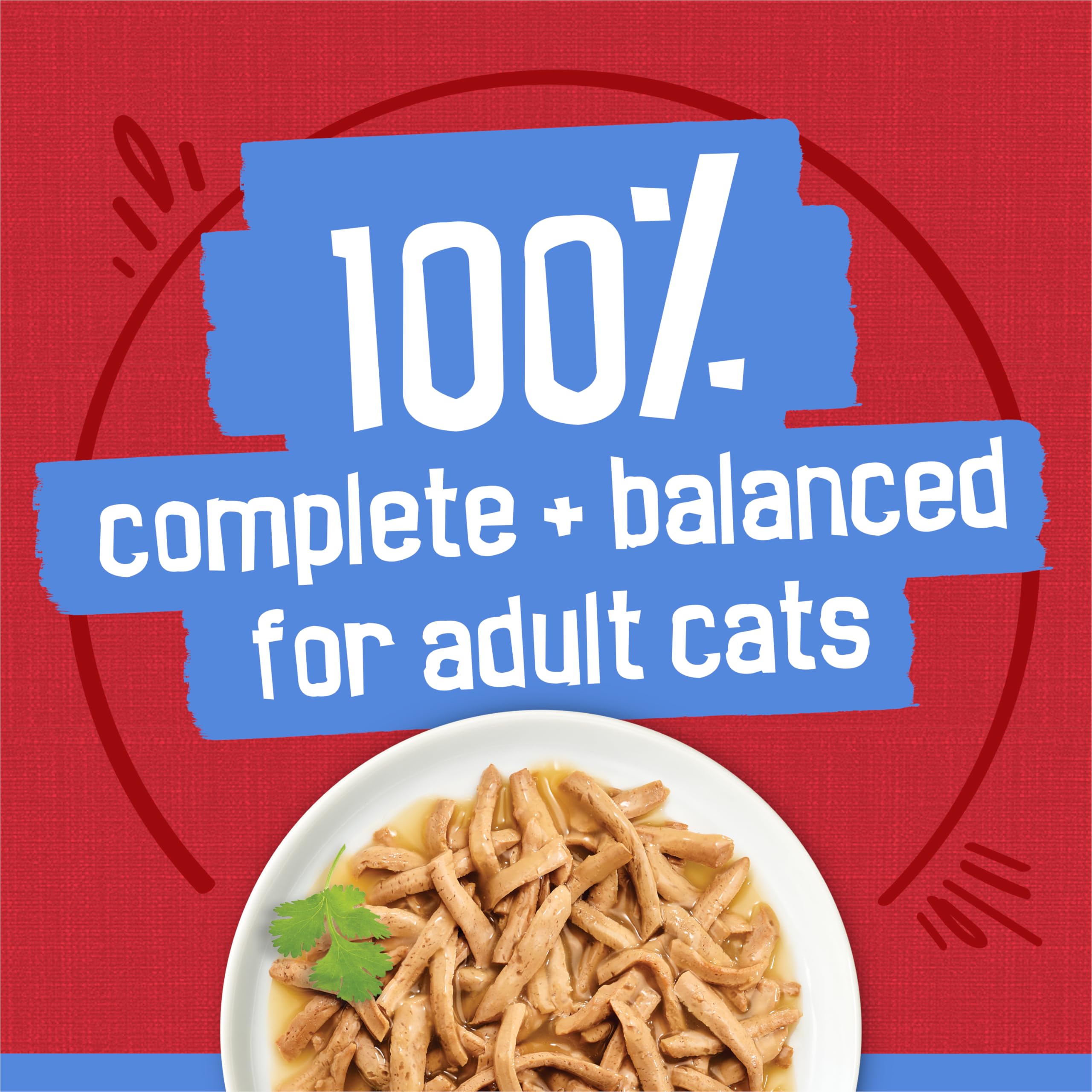 Friskies Shreds Beef in Gravy serving dish ready.