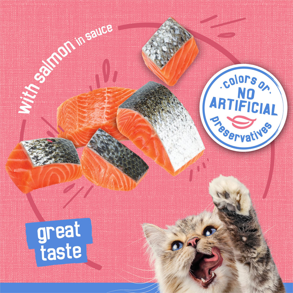Friskies Shreds Salmon in Sauce creamy sauce gloss suggests rich flavor.