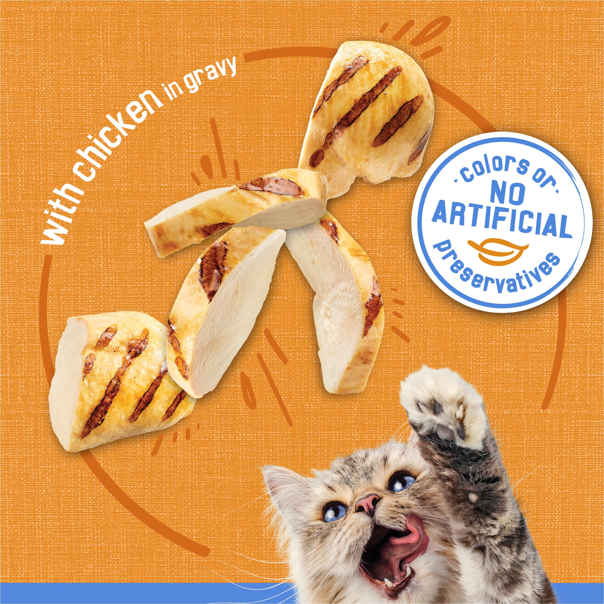 Friskies cat eating session captures a content cat enjoying real chicken flavor