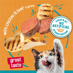Friskies Tasty Treasures 24-pack cans ready for shelf display