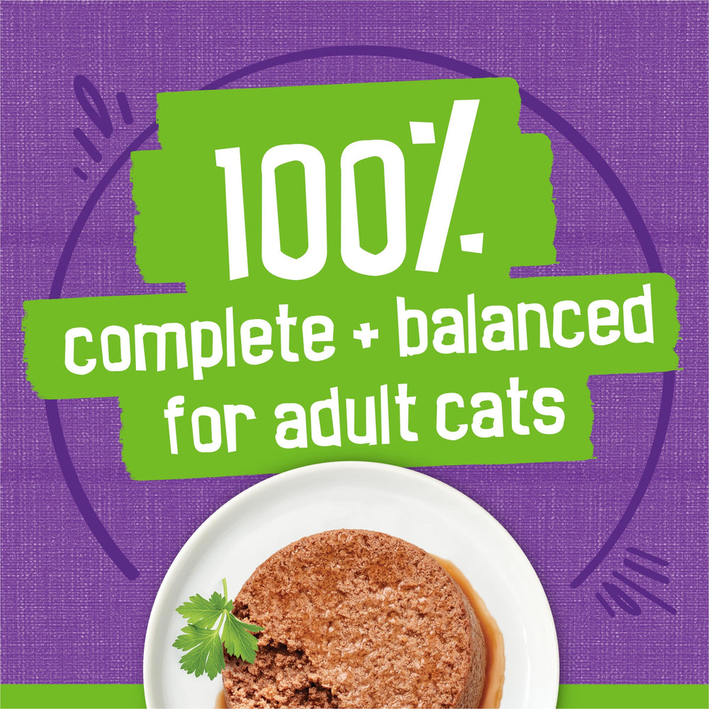 Friskies turkey giblets pate for adult cats in a feeding moment