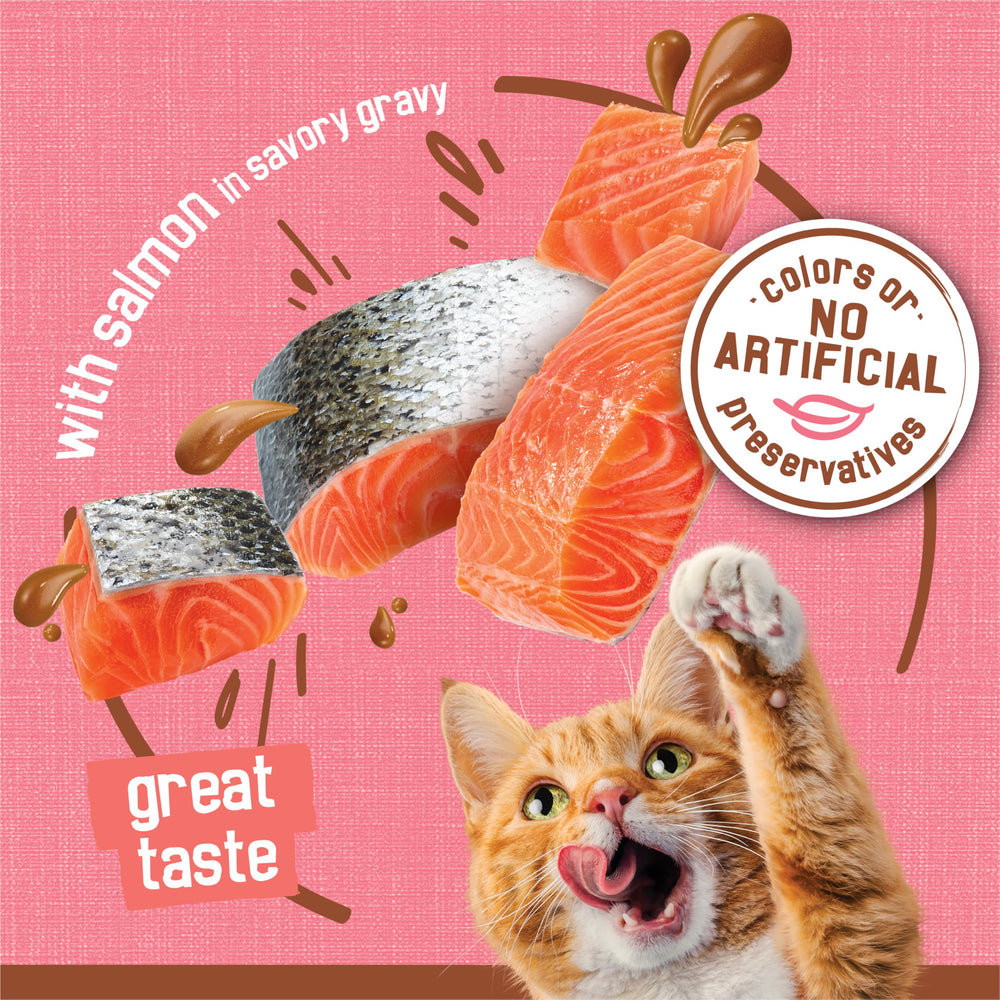 Purina Friskies produced in Purina-owned U.S. facilities
