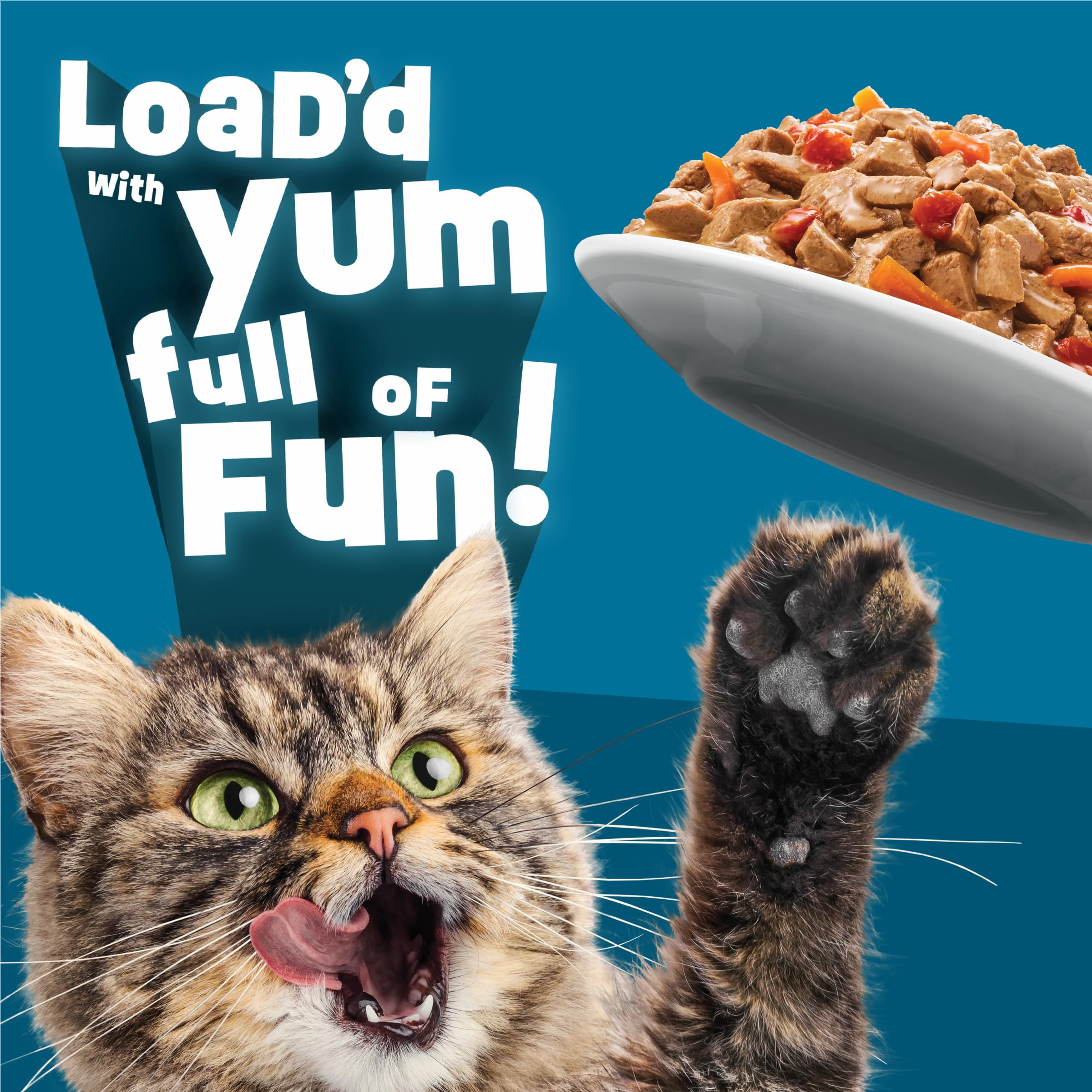 Friskies wet cat food with glossy gravy surface appealing to cats.