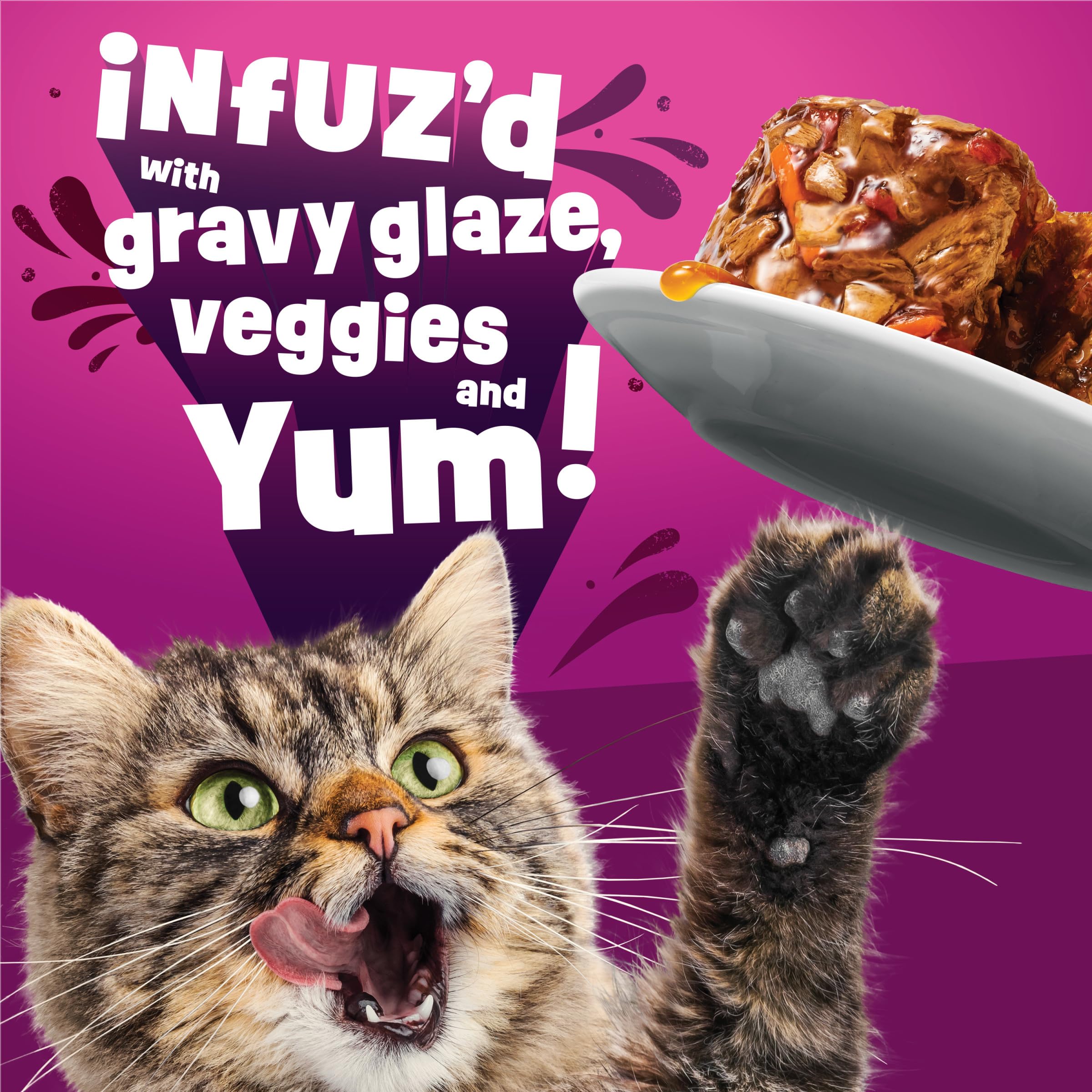 Friskies wet cat food hydration focus close-up