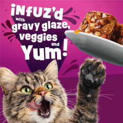Friskies wet cat food hydration focus close-up