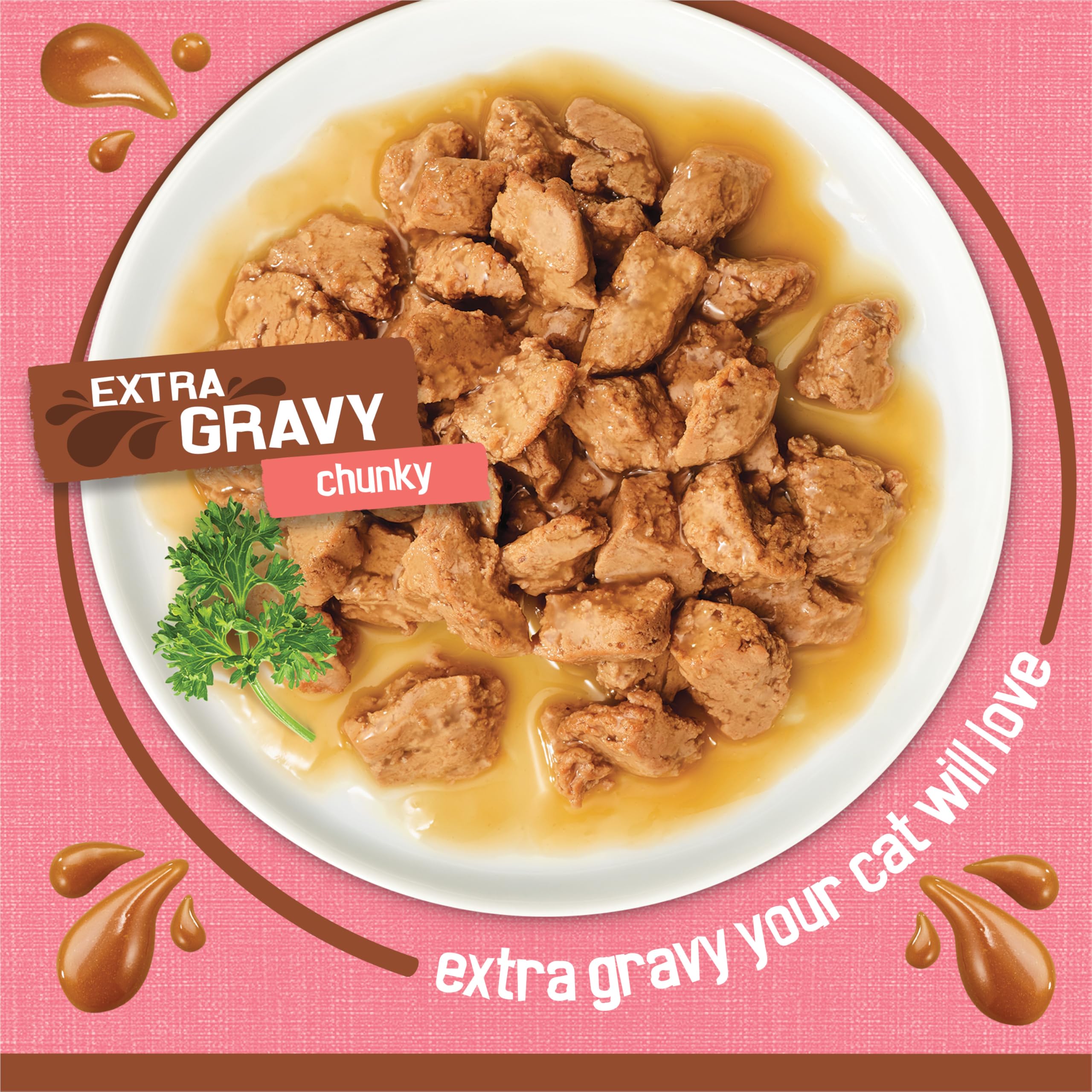 Tender salmon chunks in gravy texture for engaging feline dining