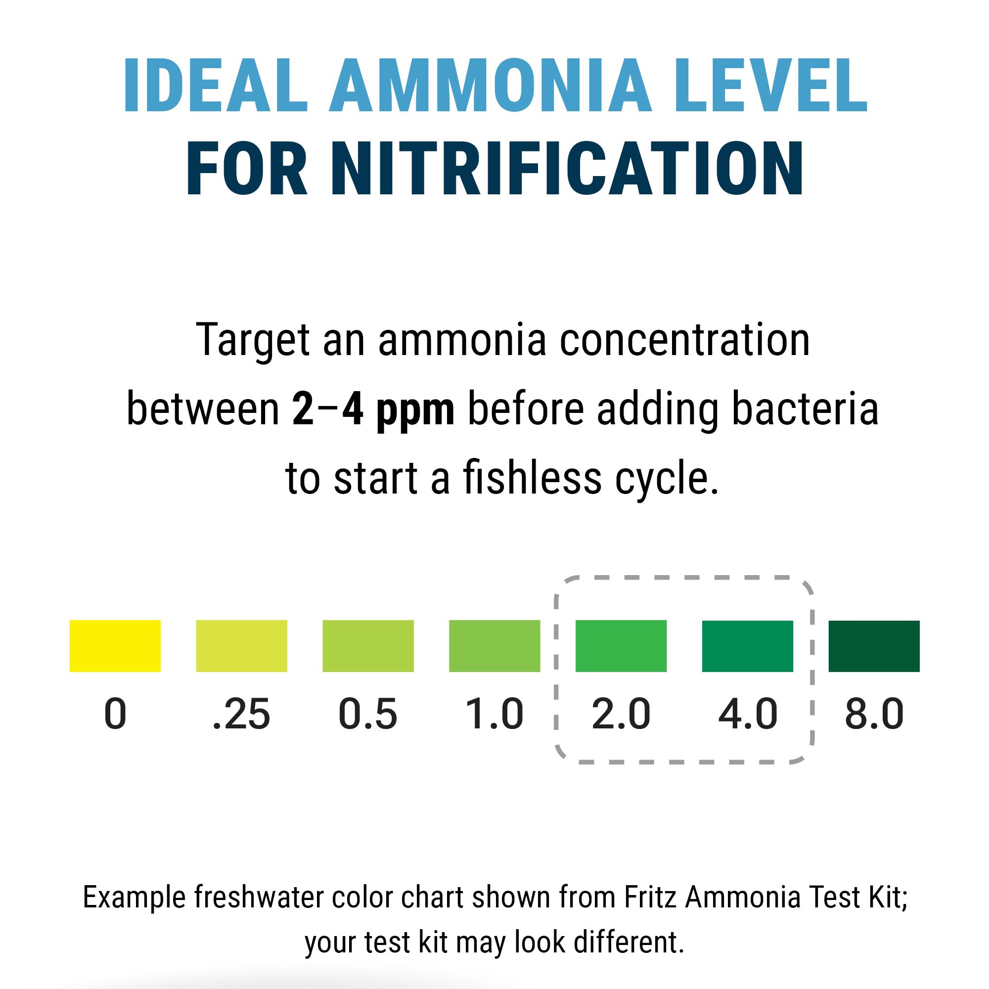 Aquarium setup image implies testing ammonia before introducing livestock.