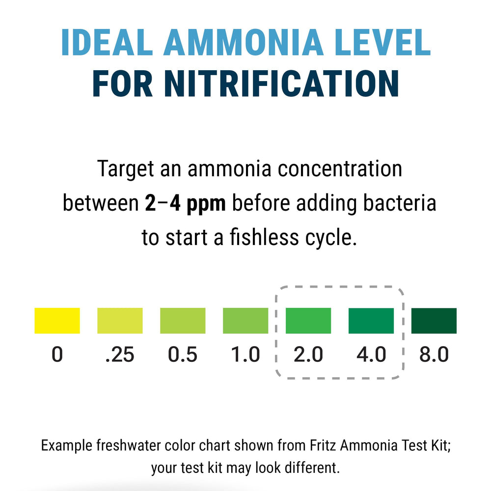 Aquarium setup image implies testing ammonia before introducing livestock.