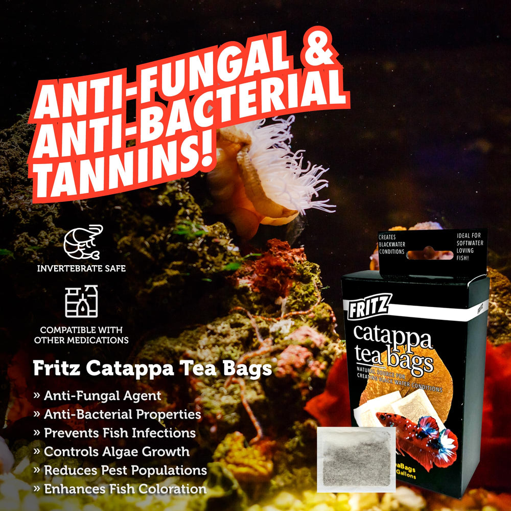 Fritz Aquatics Betta Botanicals biotope setup supports spawning cues