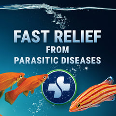 Label close-up of Fritz Expel-P with clear dosage guidance for accurate dosing.