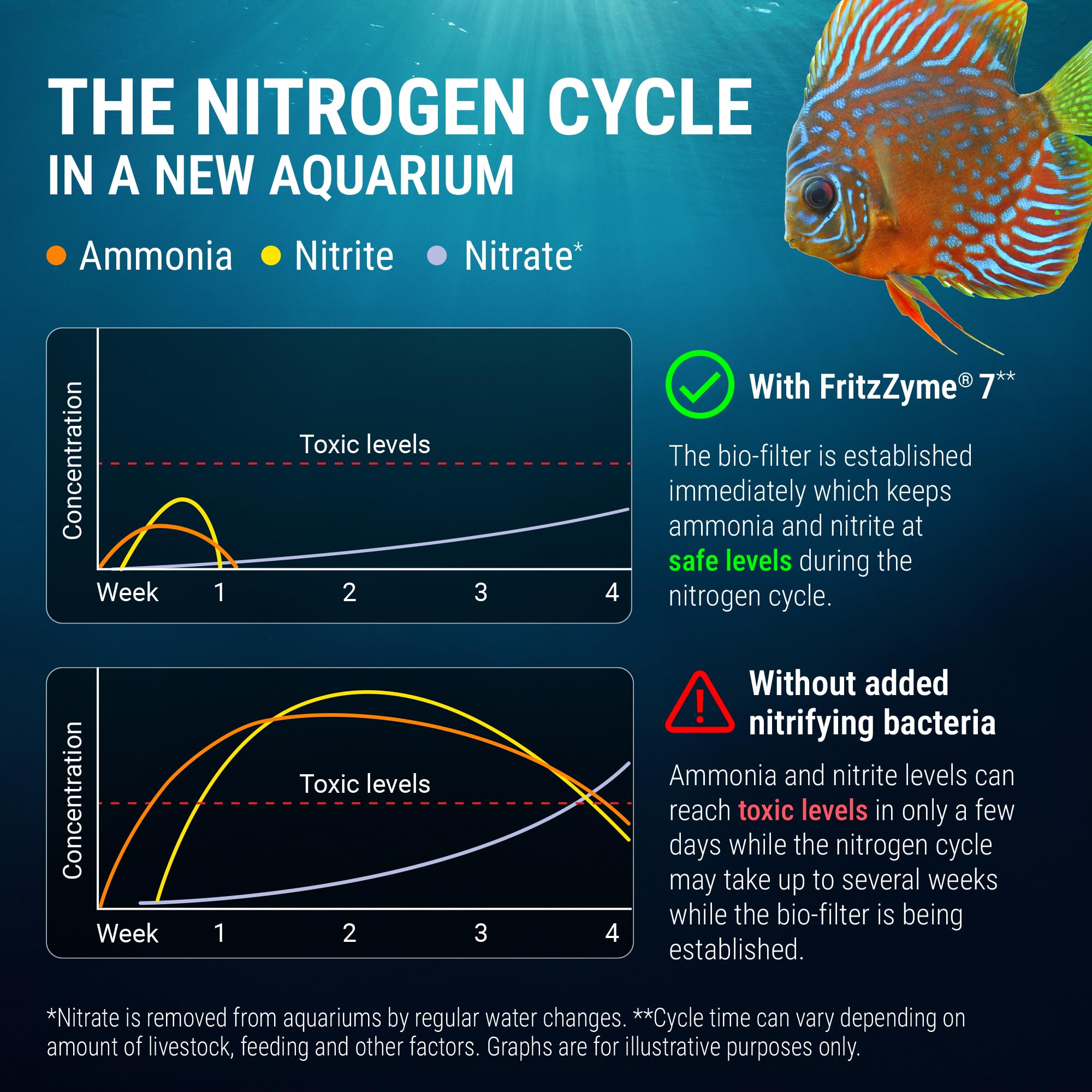 FritzZyme 7 biofilter boost scene illustrating improved tank stability.