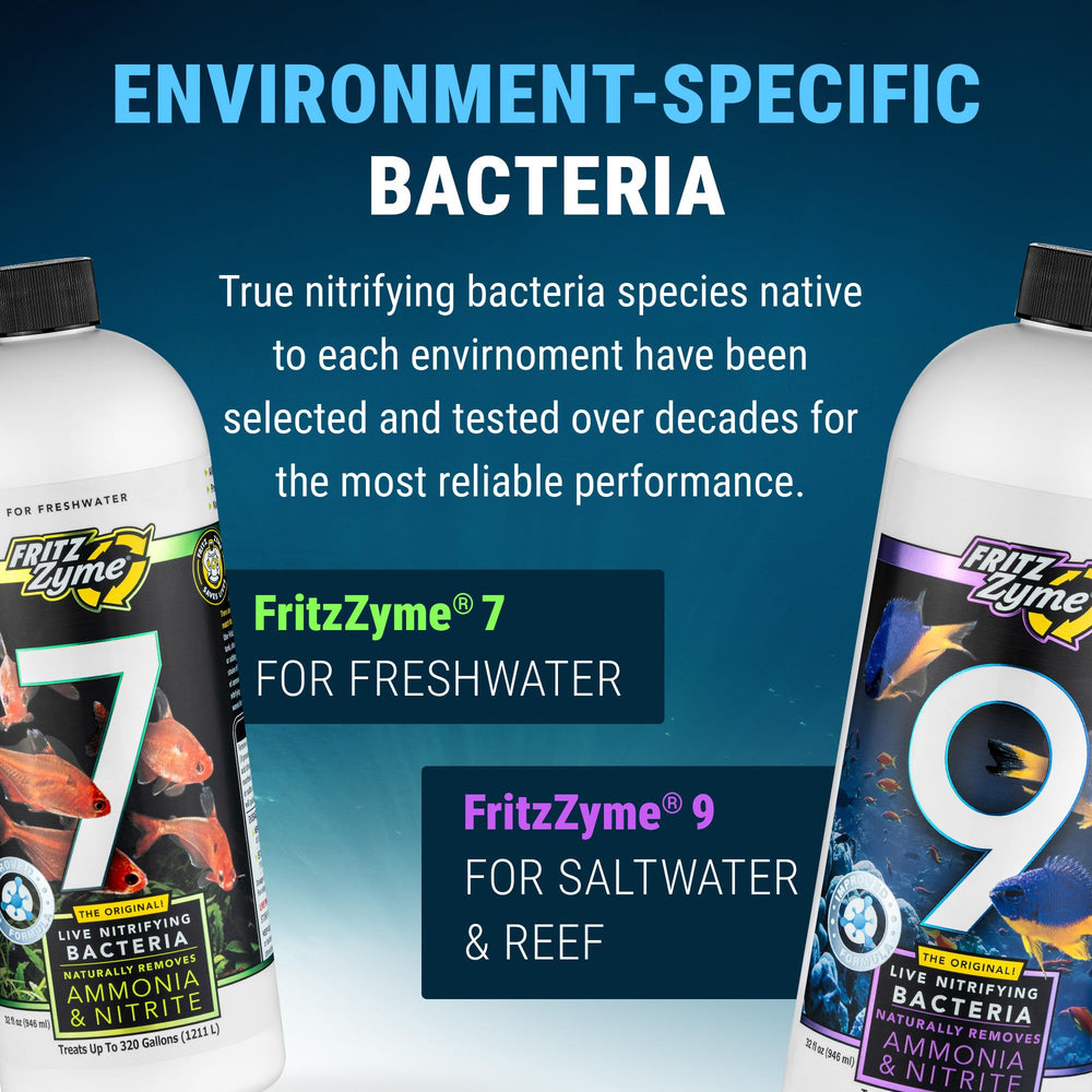 FritzZyme 9 after maintenance application aiding biofilter fortification.