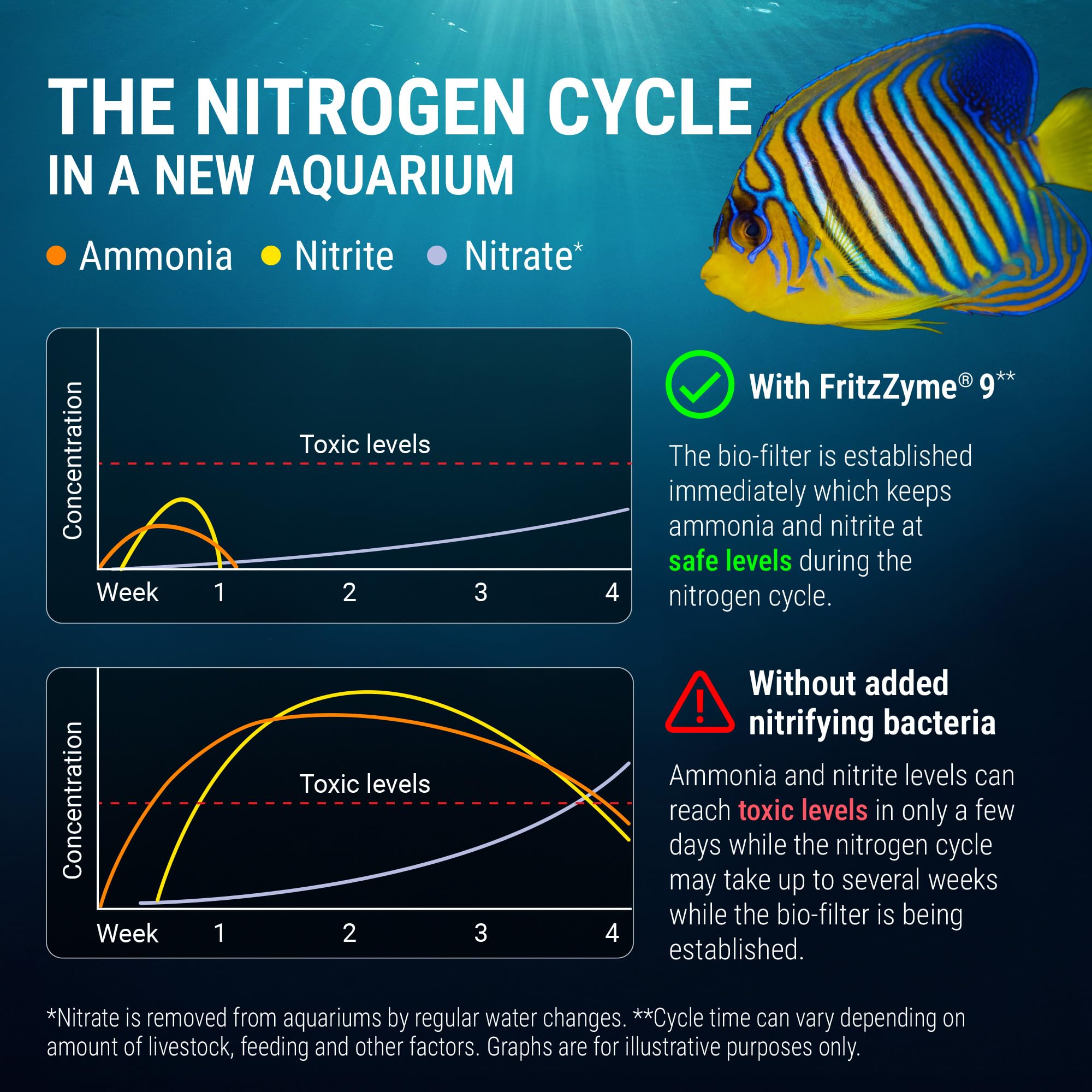 FritzZyme 9 biofilter seed shows accelerated cycle establishment.