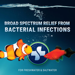 Fritz Aquatics Maracyn dose packets enable straightforward treatment of bacterial infections