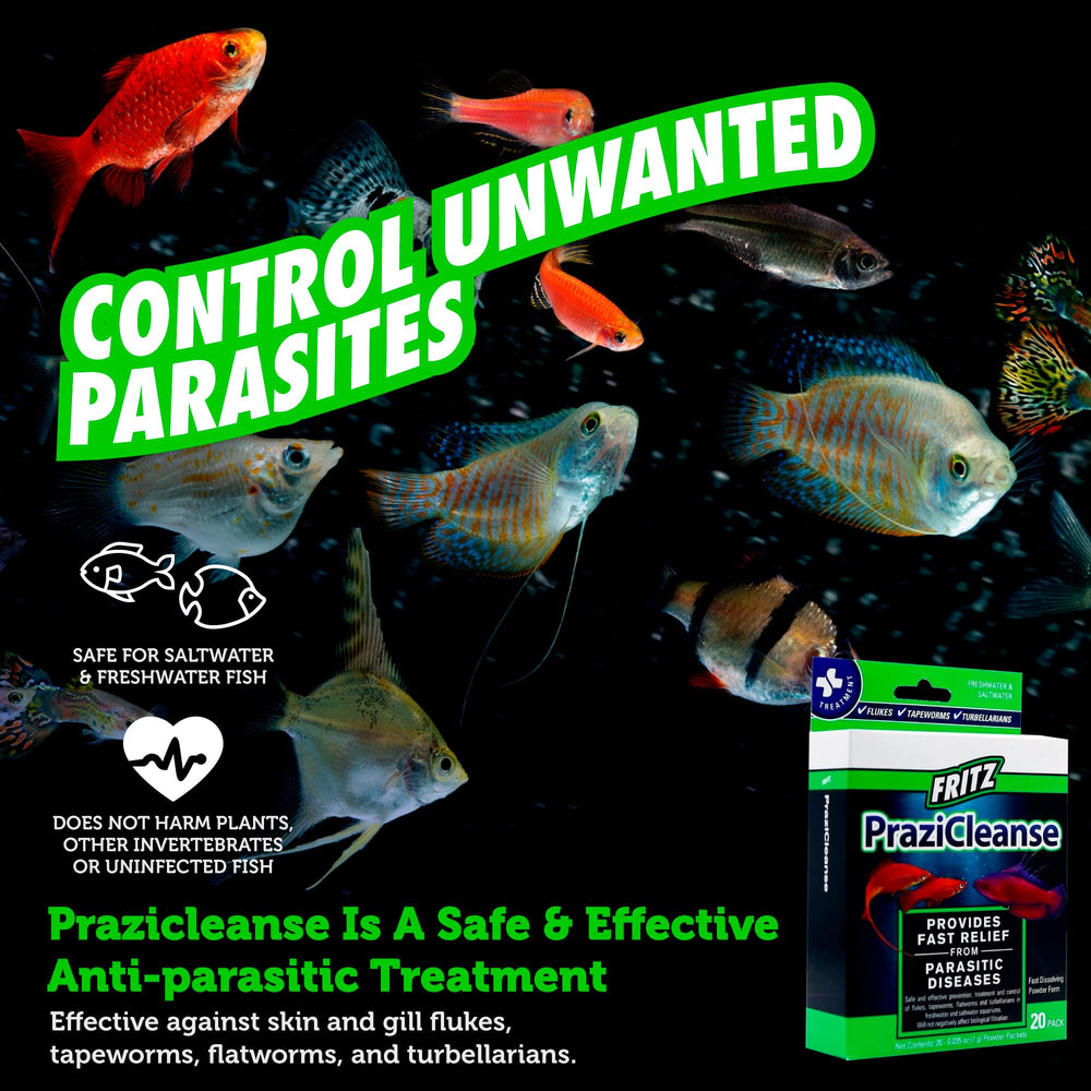 Dosing spoon with Fritz Aquatics PraziCleanse for accurate administration