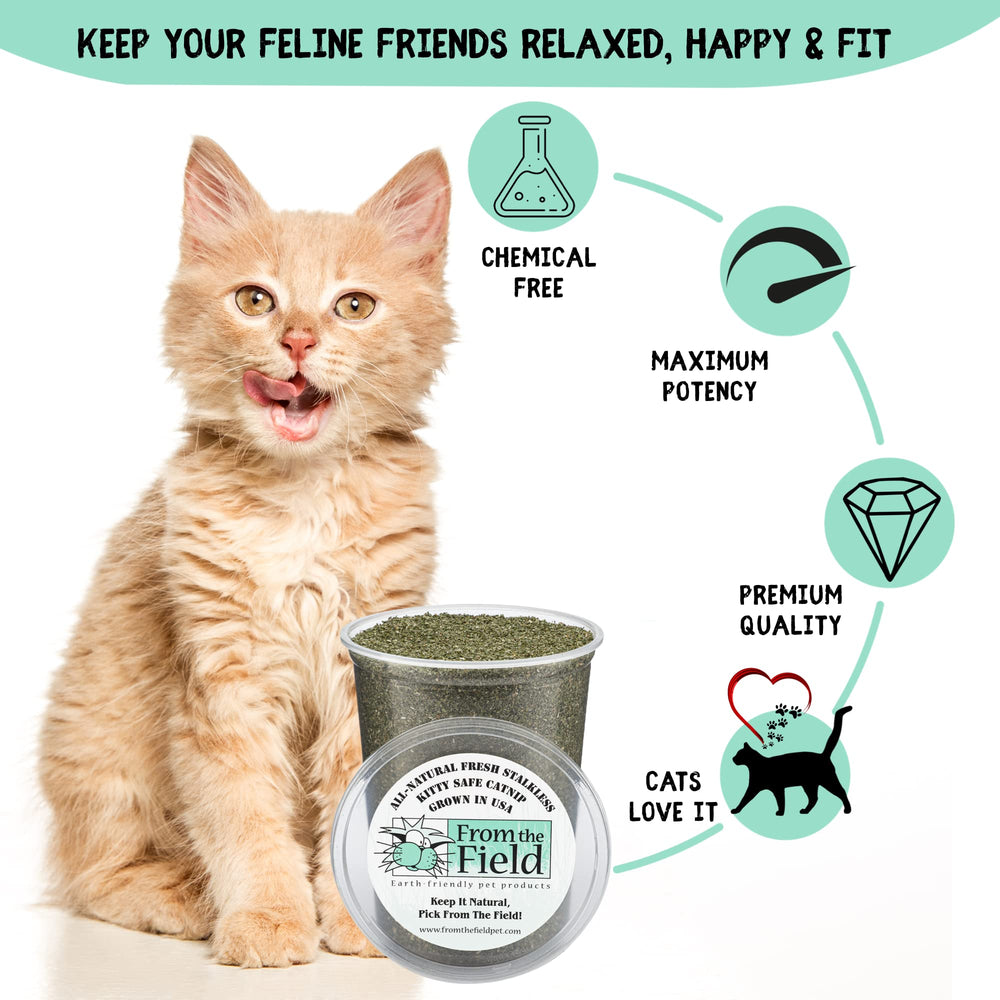 From The Field catnip toy-filling use closeup shows versatile premium filler for interactive games
